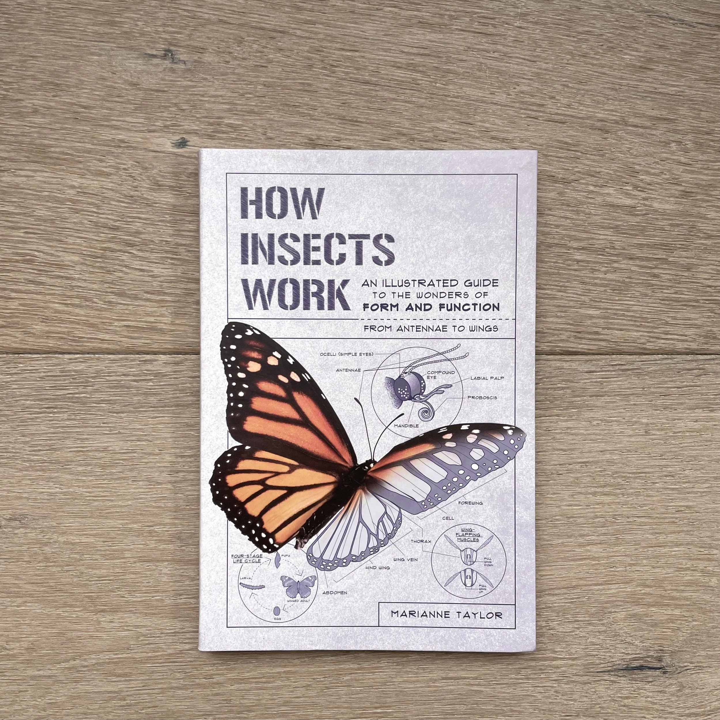 How insects work.jpg