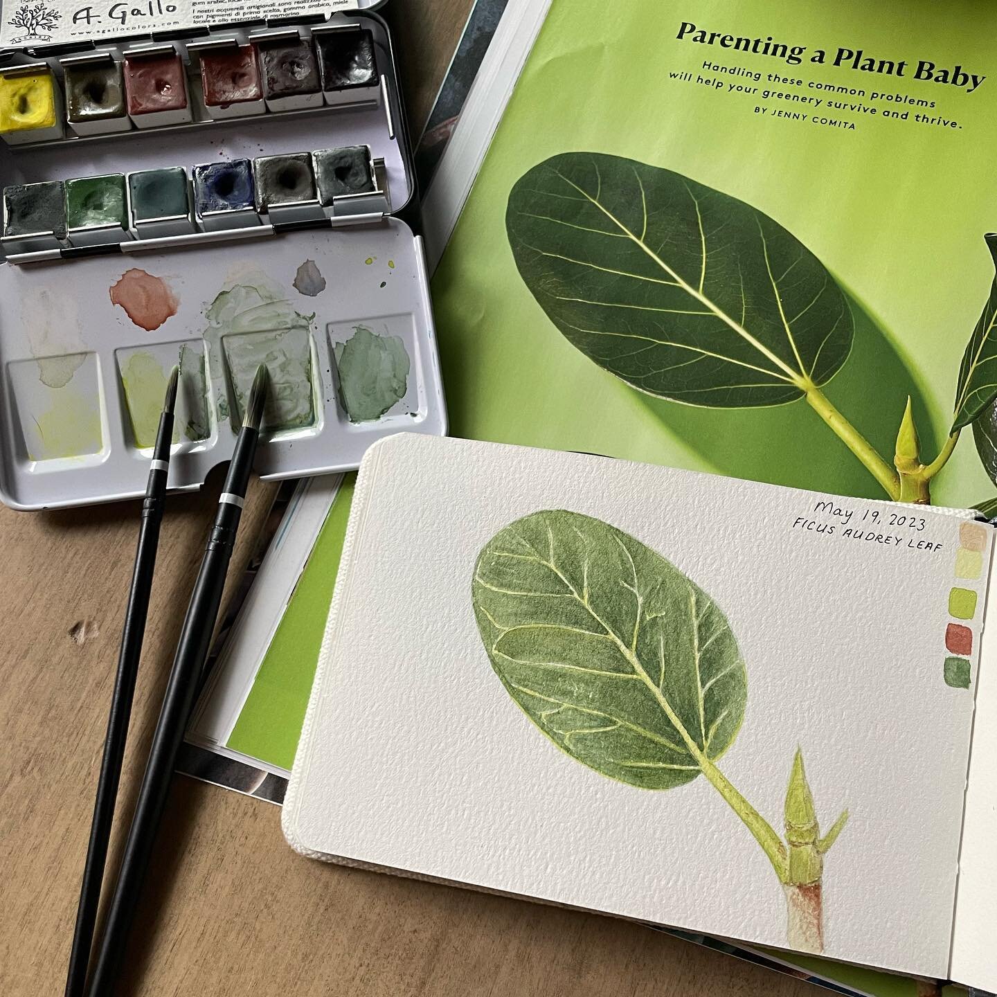 I love my houseplants and affirming what I surmised on my own about their benefits has me plotting where the next green goddesses will go. Gimme more! 🌿

This @real_simple magazine is dedication to the Power of Plants: make us happier, ease stress, 