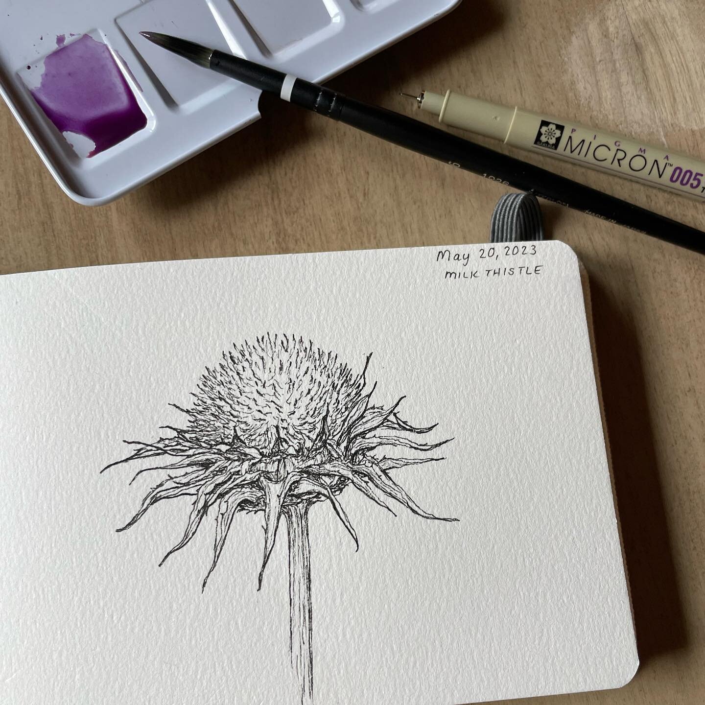 Best laid plans&hellip;✍🏻

The plan was pen + paint, as I had the perfect purple.

But I persevered with pen, as I found myself pushing particular details from the bottom up.

Yet still, there was that pretty Poof on top&hellip;&rsquo;just a few lin