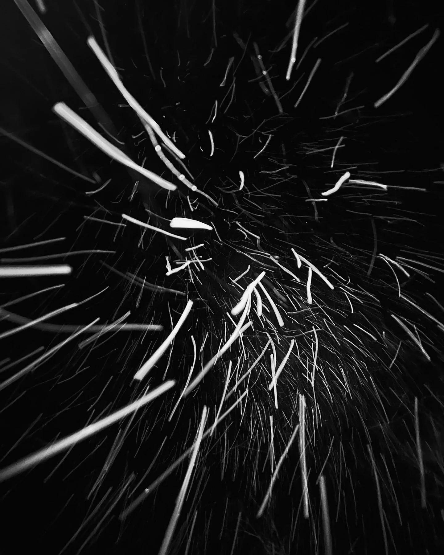 SNO-MO | #shotoniPhone 

Where every flurry gets a little blurry ❄️