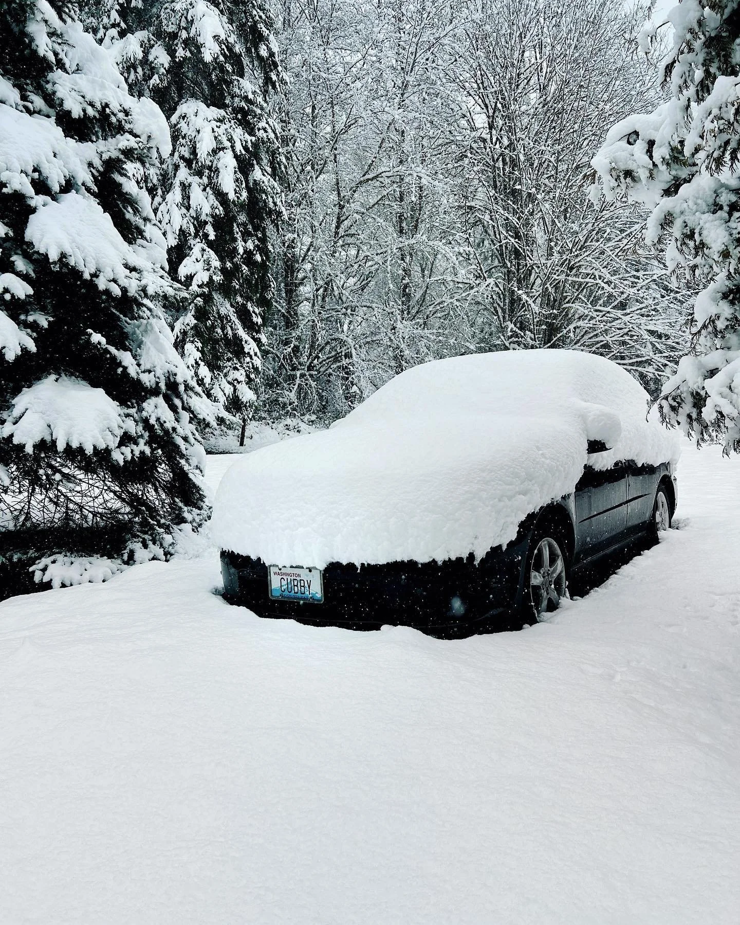 Sno-where to go ☃️

All growing up, a snowy holiday was always such a rare treat at my childhood home. This past year, we got completely snowed in and everything looked so fluffy and beautiful. Until it didn&rsquo;t.

A few weeks ago after all the sn