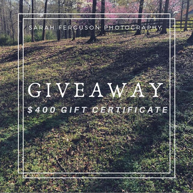 SPRING SESSION GIVEAWAY 🌸 $400 gift certificate could be yours!! To win:
1. Follow this page @sarahfergusonphotography 
2. Like this photo 
3. Tag friends in separate comments. Each tag is an extra entry. 
4. Bonus step: Post this in your story and 