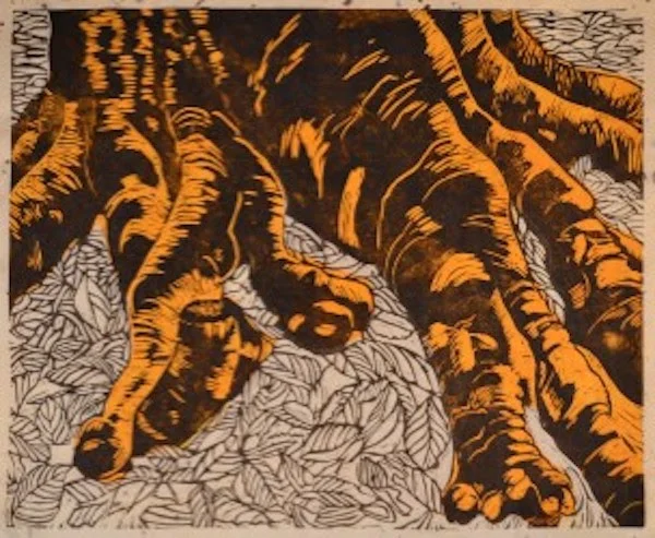 Beech Roots - Deidre Hierlihy