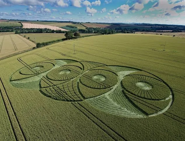 Entre Ciel et Terre : les Cercles de Blé 