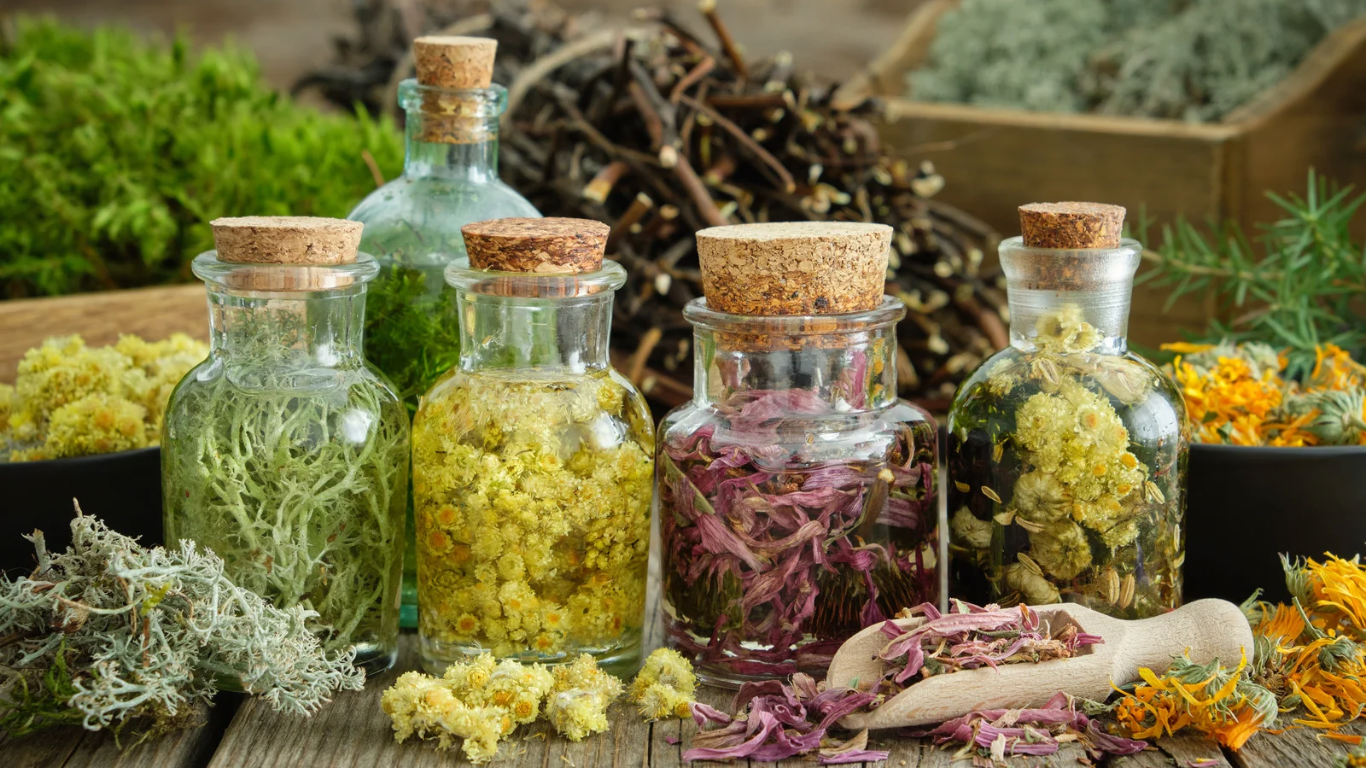 Le pouvoir de Guérison des fleurs