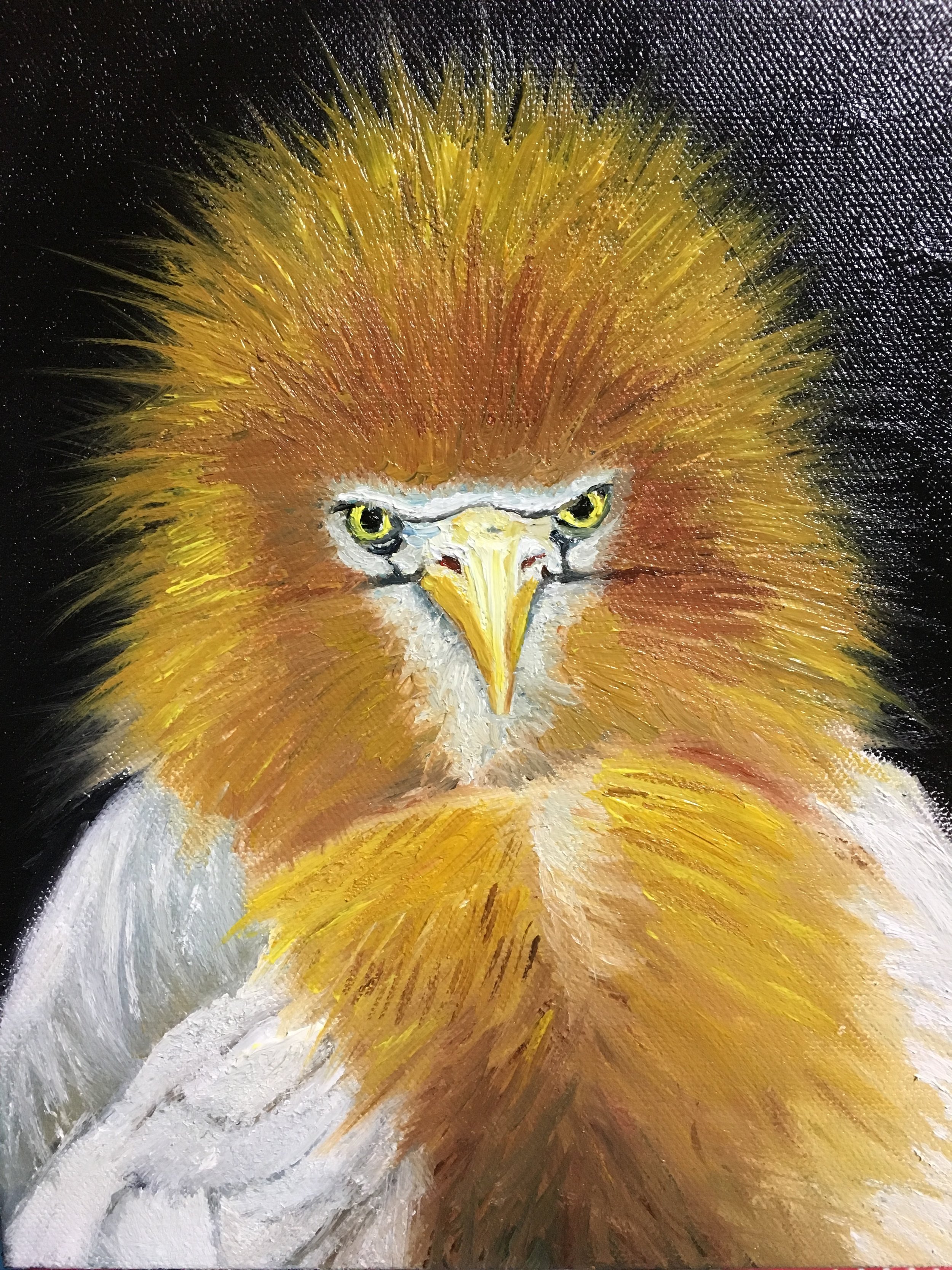 EGRET__8 x 10 Oil painting.jpg