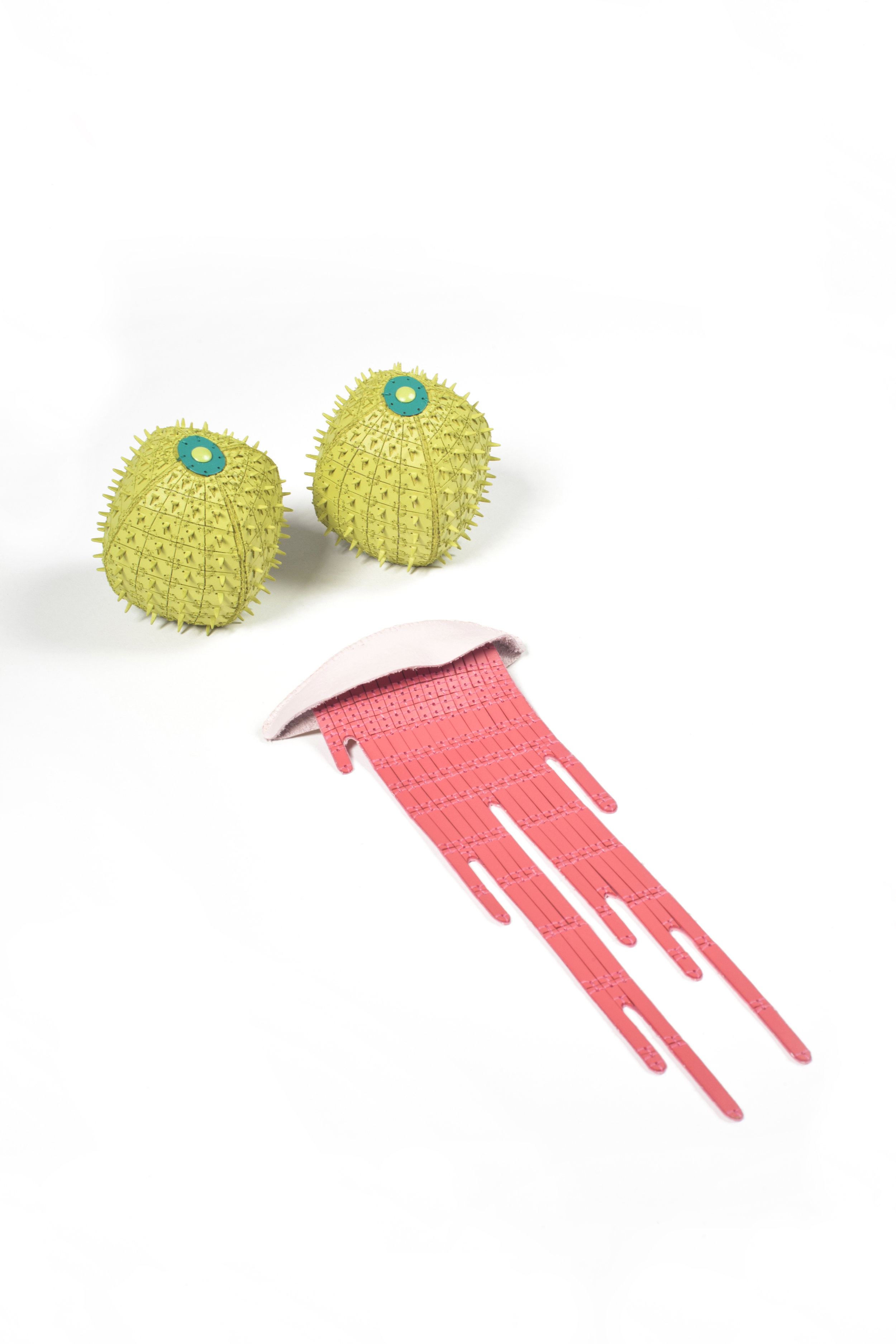   Barrel Cactus Brooch Pair   Brass, Steel, Spray-Paint, Cotton, Polyester, Thread  4”x4”x5”  2013     Weeping Sore Brooch   Brass, Nickel, Spray-Paint, Leather, Cotton, Thread  10”x4”x1”  2013    Photo by Harry Gould Harvey 