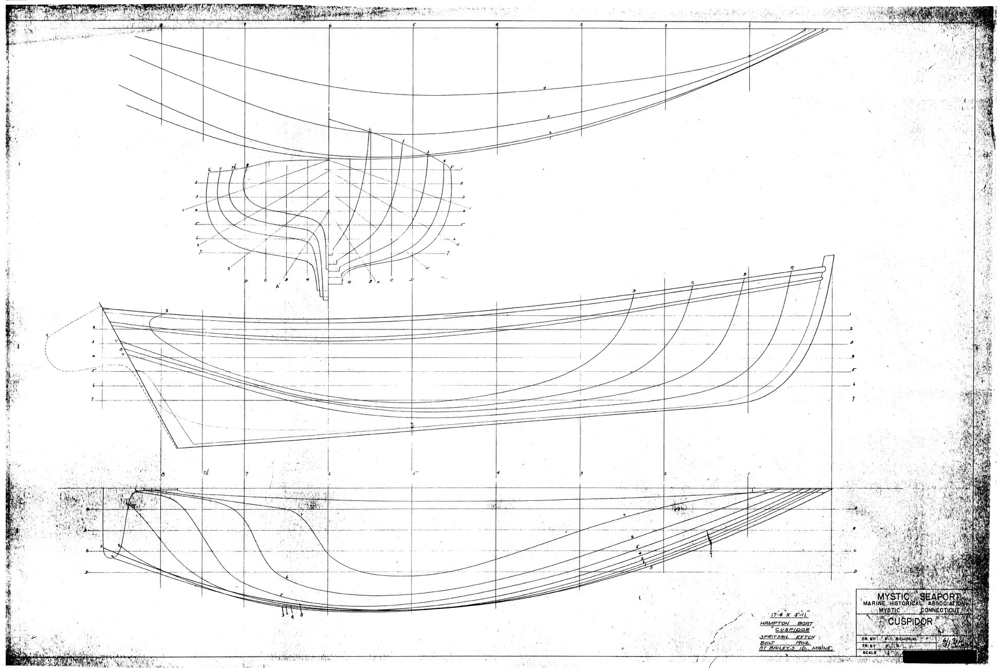 cuspidor lines.jpg