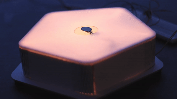 Interactive expression of emotion