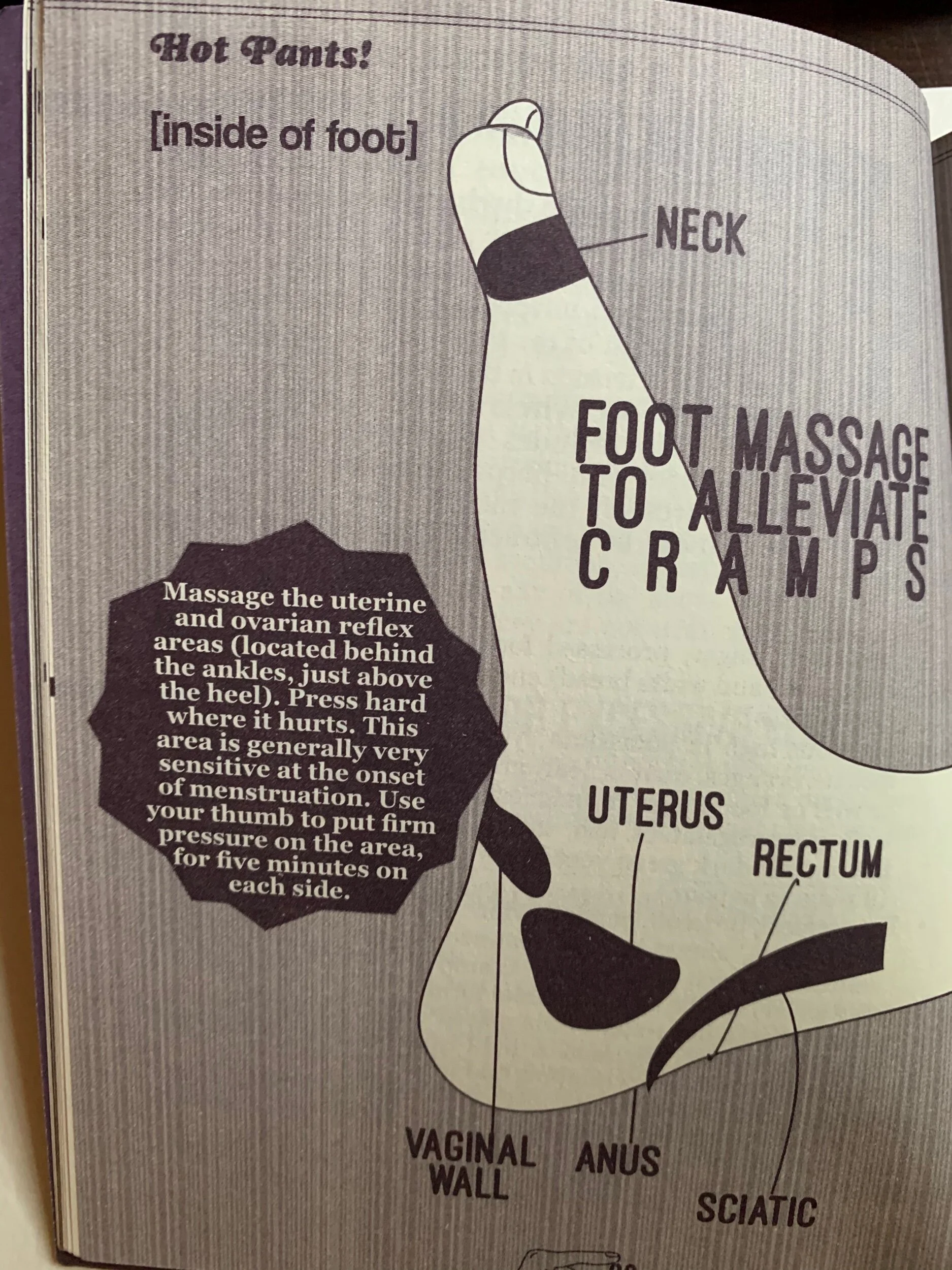 BF6520DD-7681-4BC4-878F-07B929256376