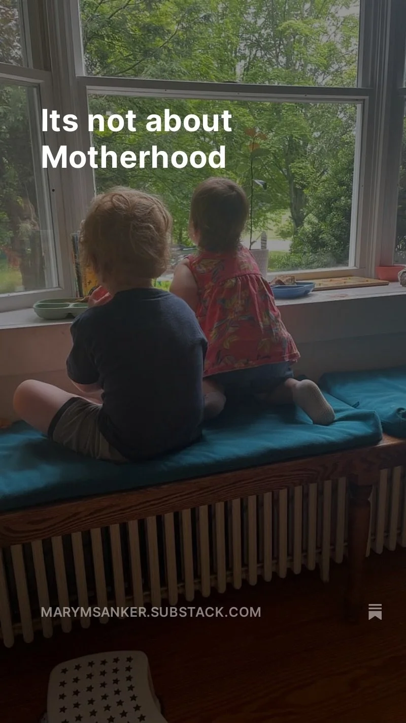 It's Not About Motherhood