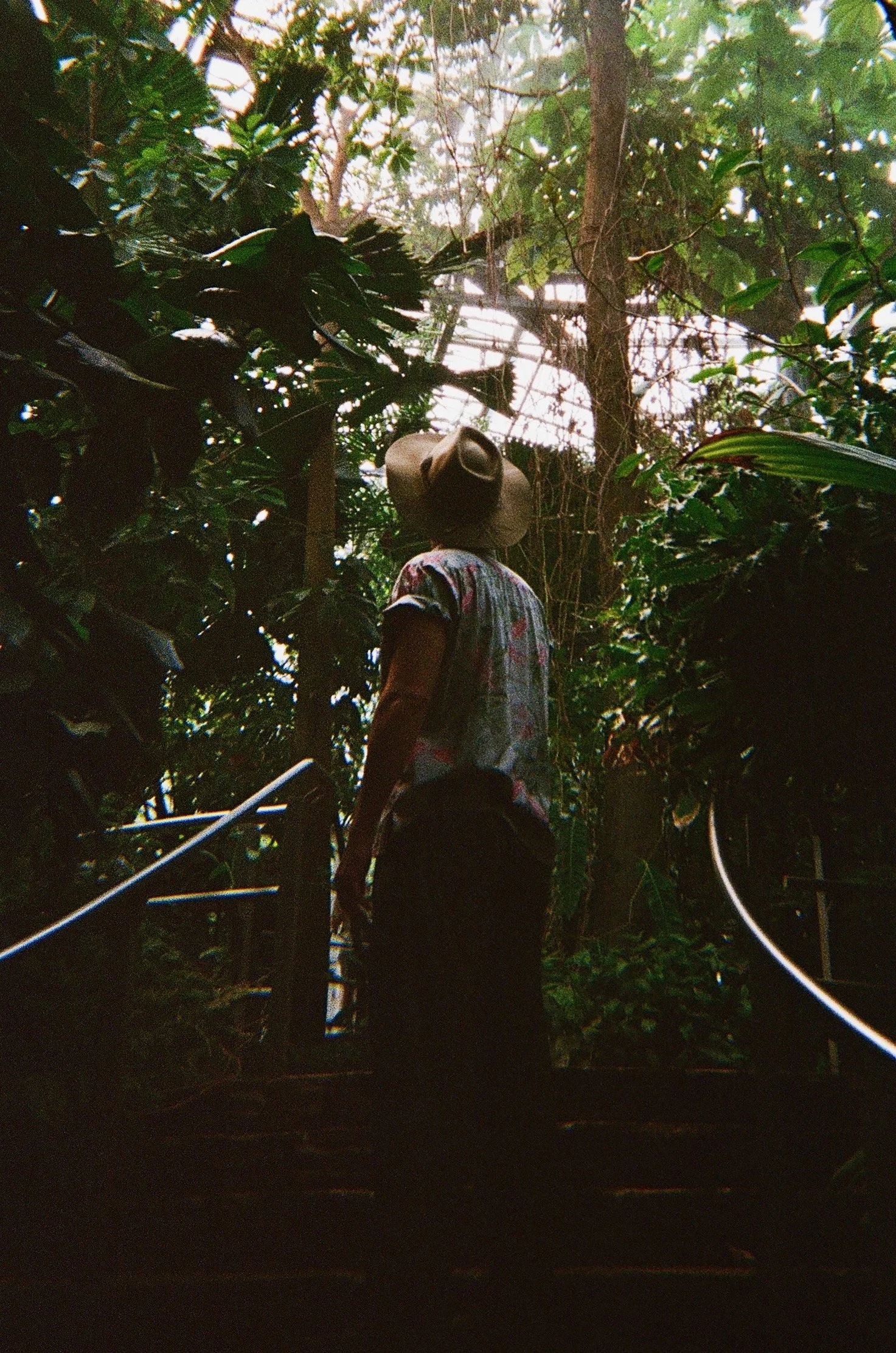 color jungle museum.jpeg