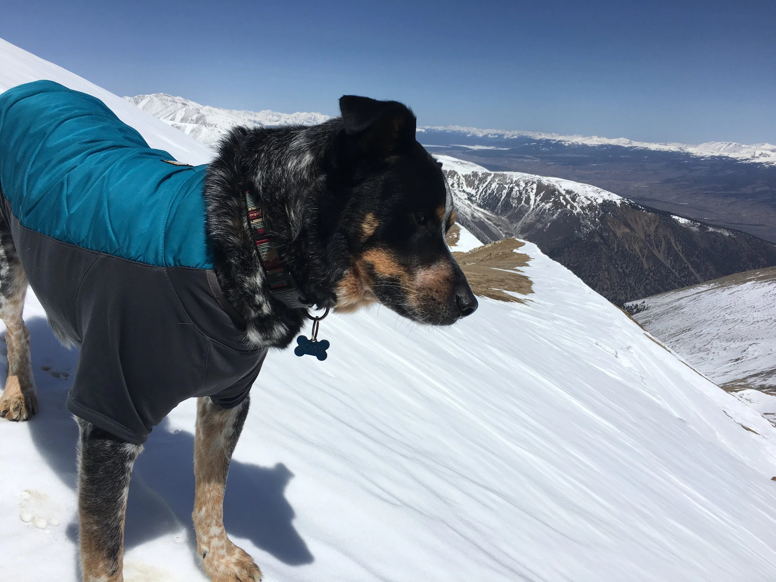 Bowie on his 1st 14er, looking at his decent, you can see the snow is starting to warm up on the East side. 