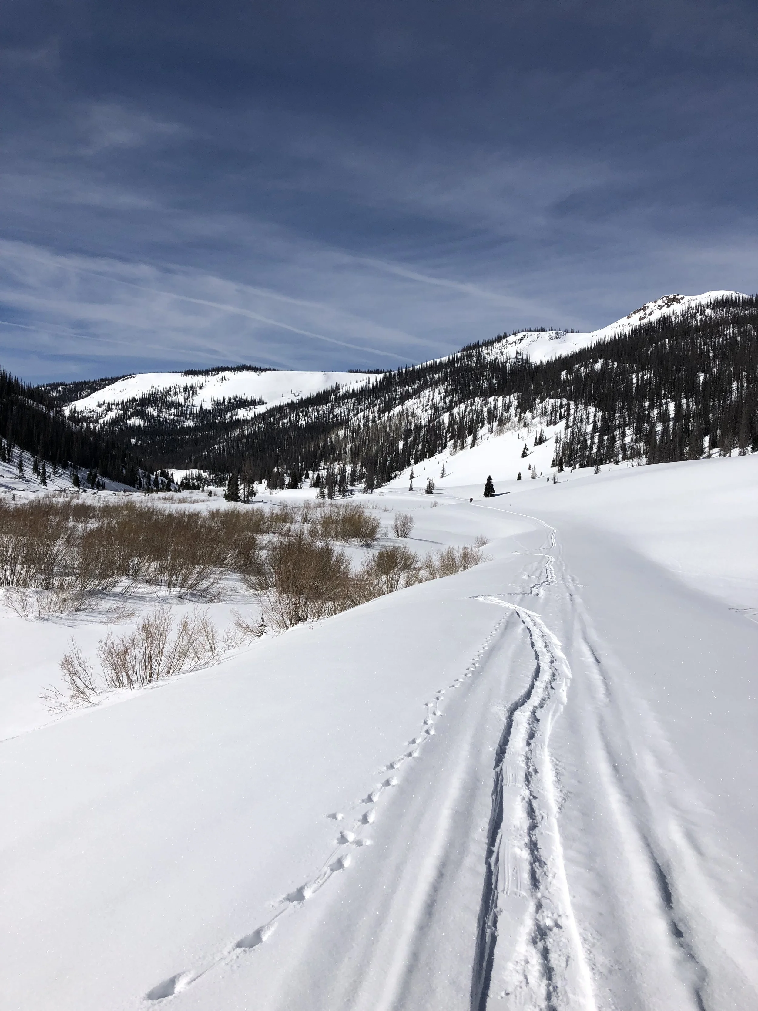 Roads I should be Snowmobiling...