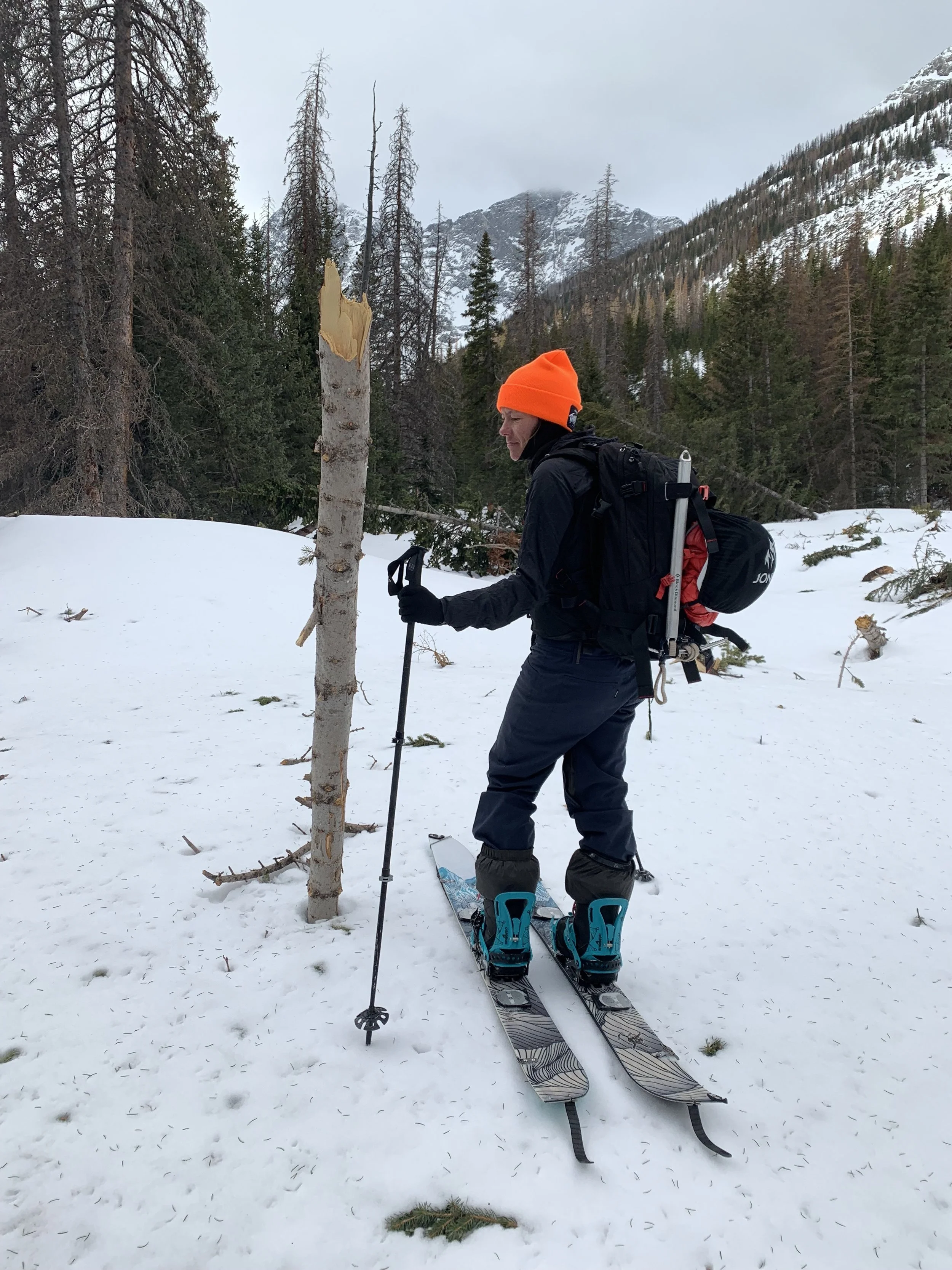 we saw two big avalanche paths that probably ran in that crazy march cycle we had. 