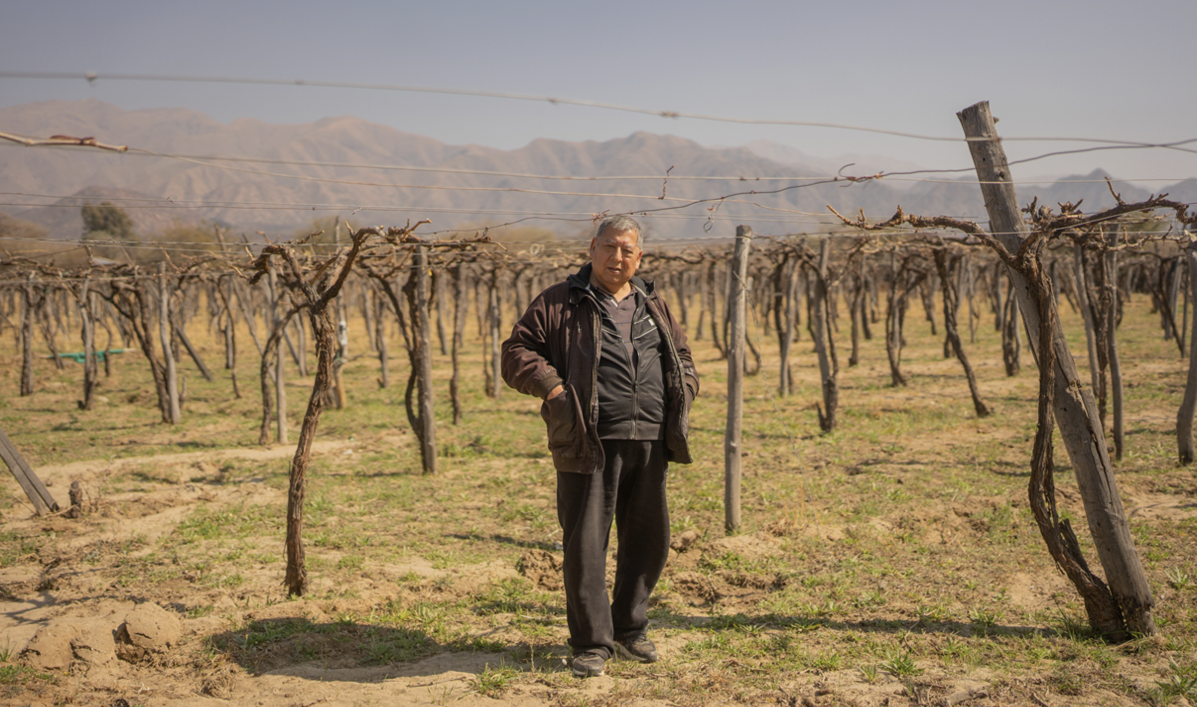 Anchoa Magazine - Cultivating resistance: homemade, patero, artisanal wine