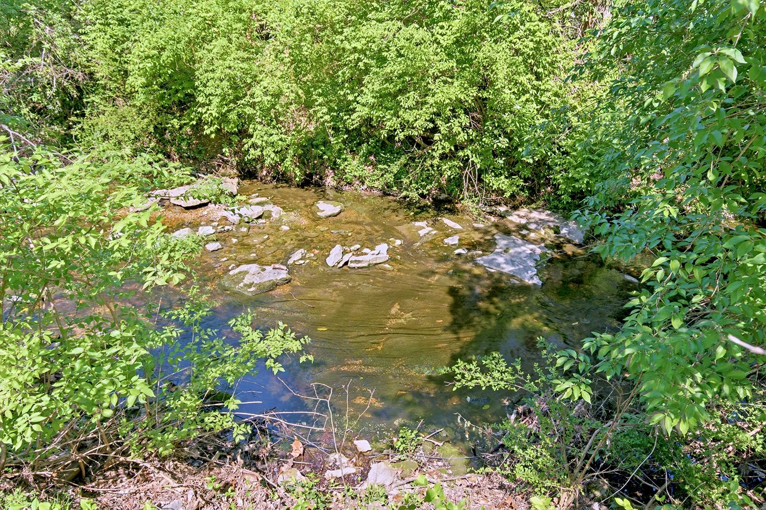 138 Haverford 43.jpg