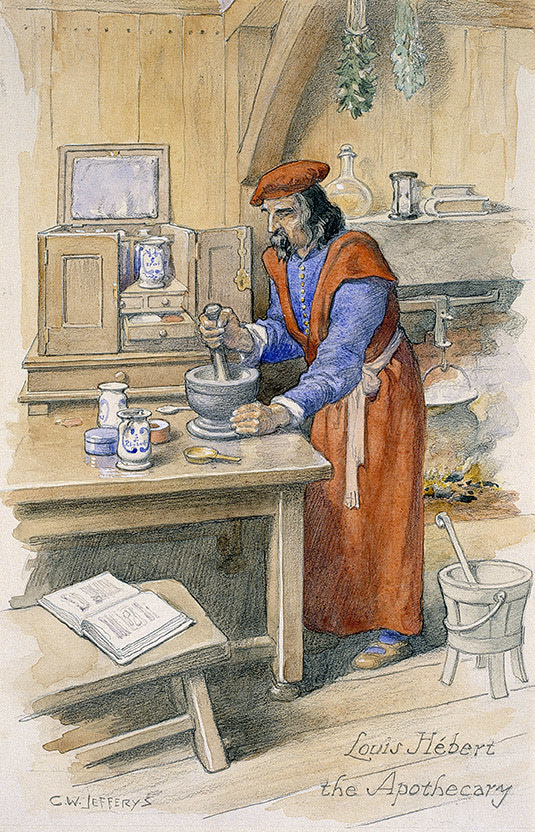 Louis Hébert, the first european apothecary in the New World