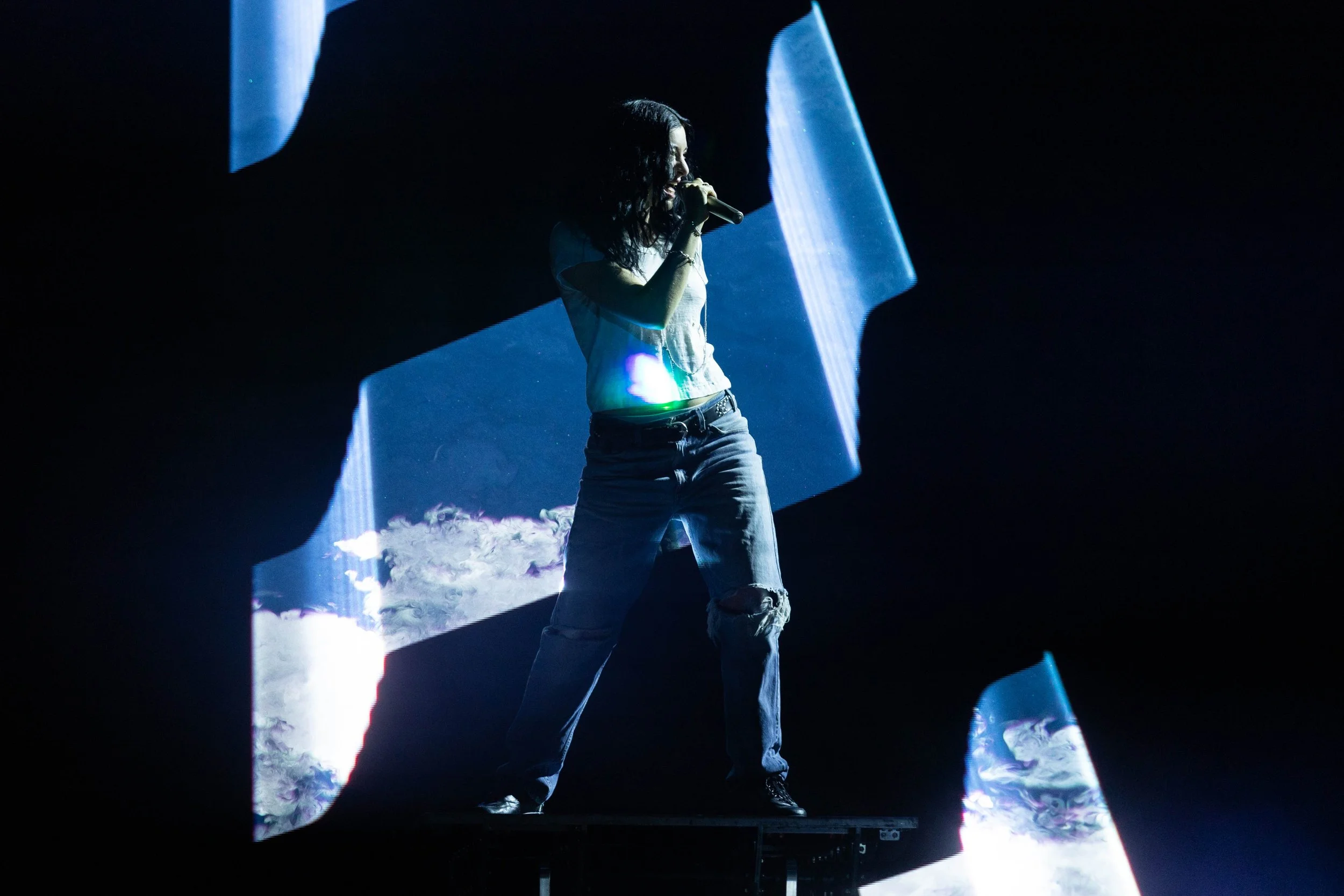 Lorde_BARR-2.jpg