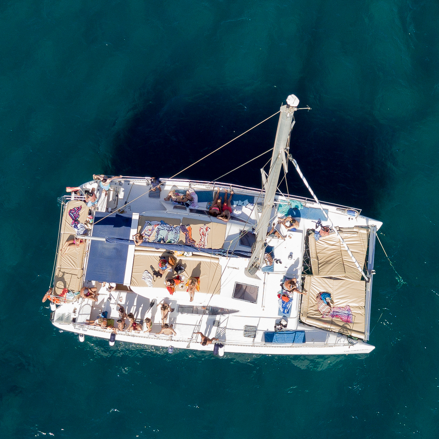catamaran.jpg