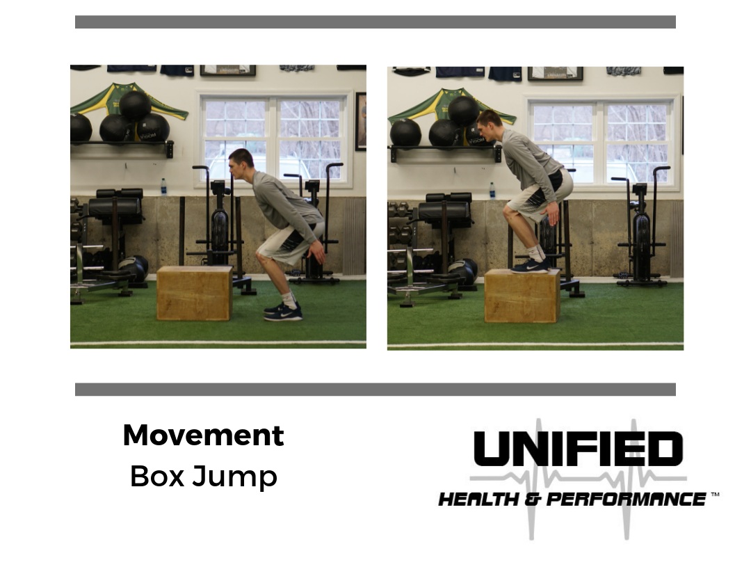 DST Exercise of the Week: Improving Your Vertical – Seated Box Jump -  Dynamic Sports Training