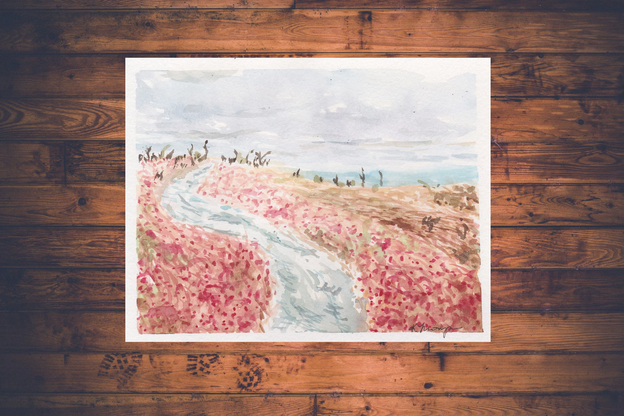 Icy Path - Sam's Point(5x6 framed).jpg