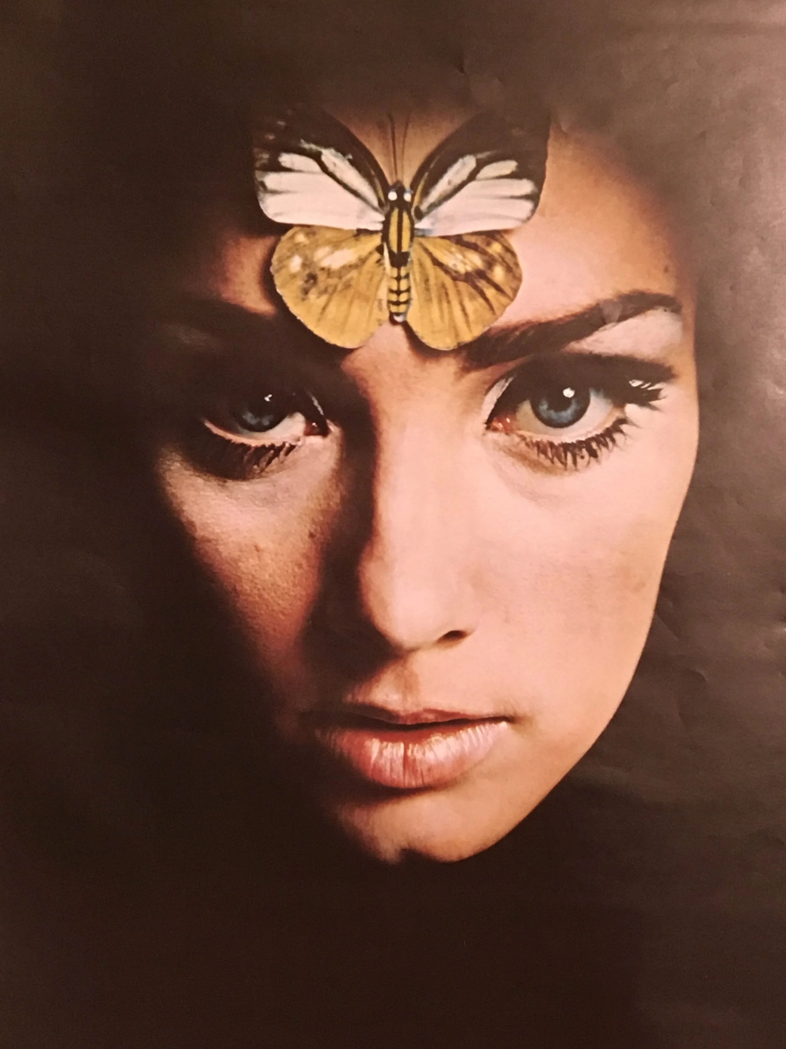 Evergreen Magazine + Iconic Poster N°44 DEC 1966