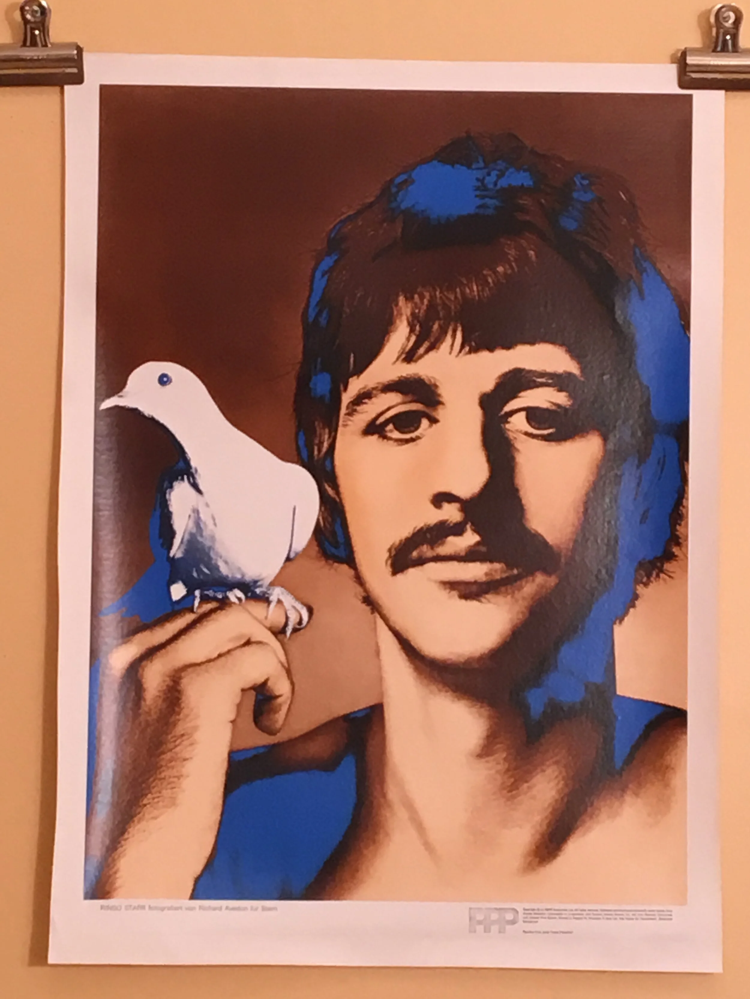 1967 RINGO STARR Richard Avedon Linen Backed Stern Magazine poster 