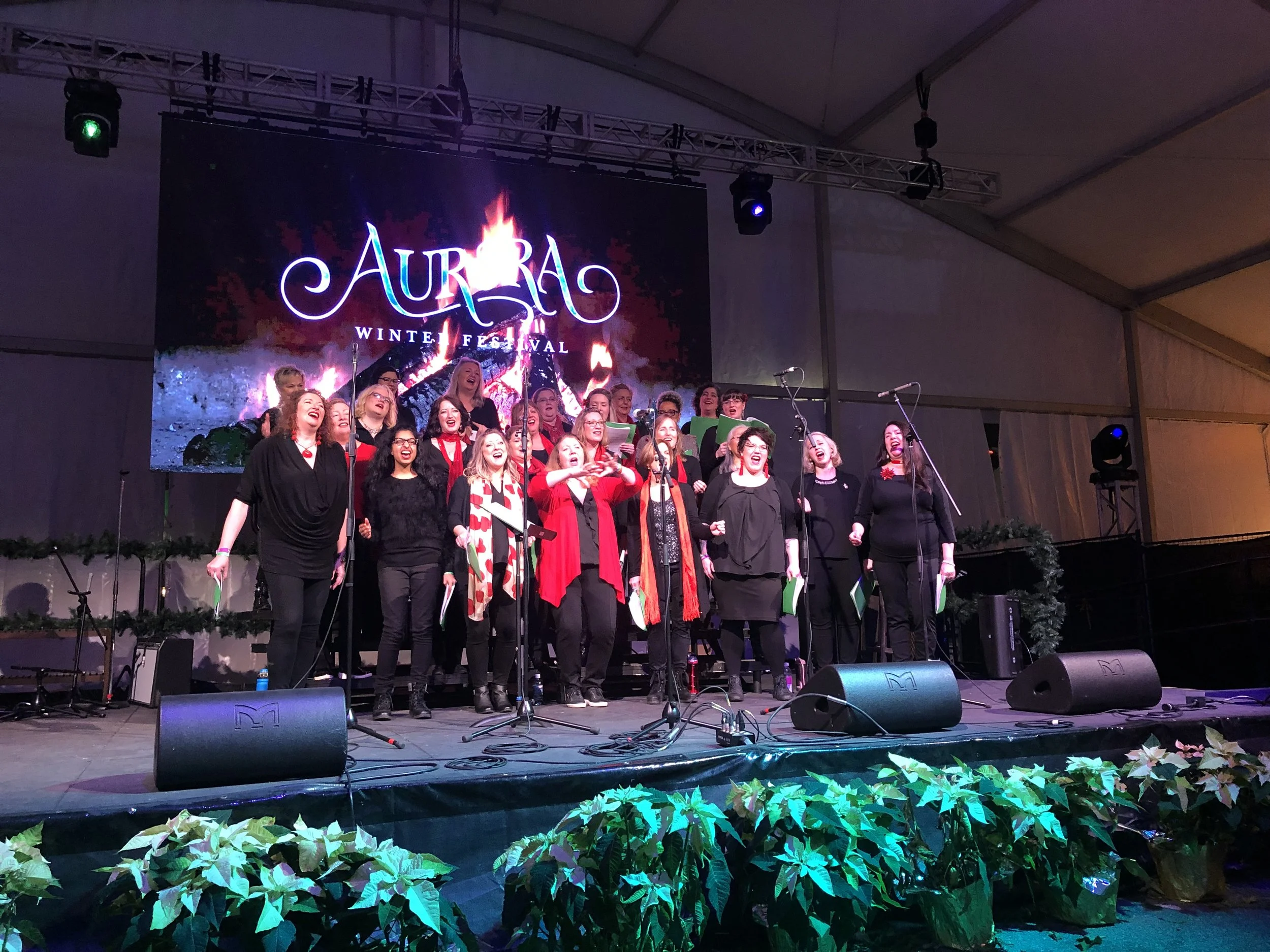 Lions Gate Lite - Aurora Winter Festival 2018