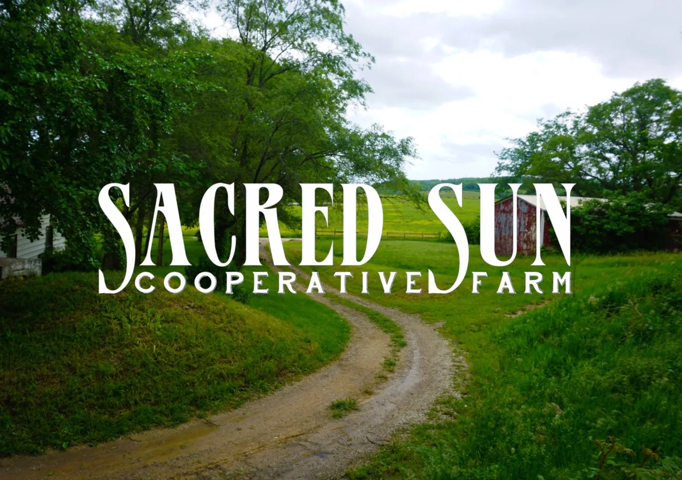 Sacred Sun Cooperative Farm A 100-acre organic farming community, nestled amongst the rolling hills of Jefferson County, just north of Lawrence, Kansas. Established in 2013, this young band of homesteaders works to provide a “whole-diet CSA” for their table and yours.