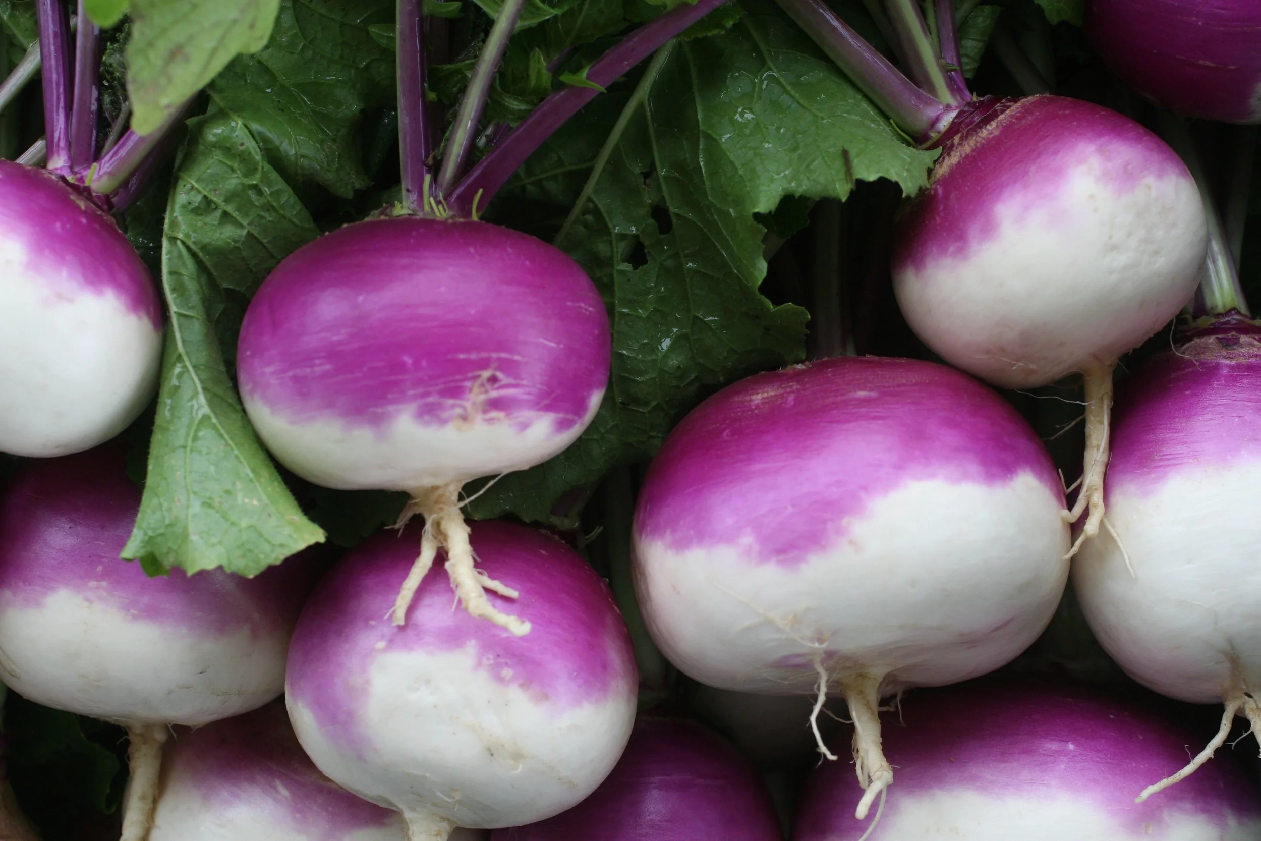 Brookside Farmers Market