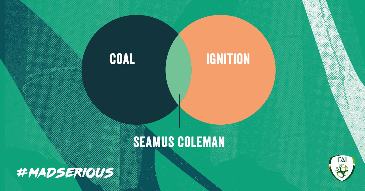 FAI_ST_Infographic Coleman 7.png