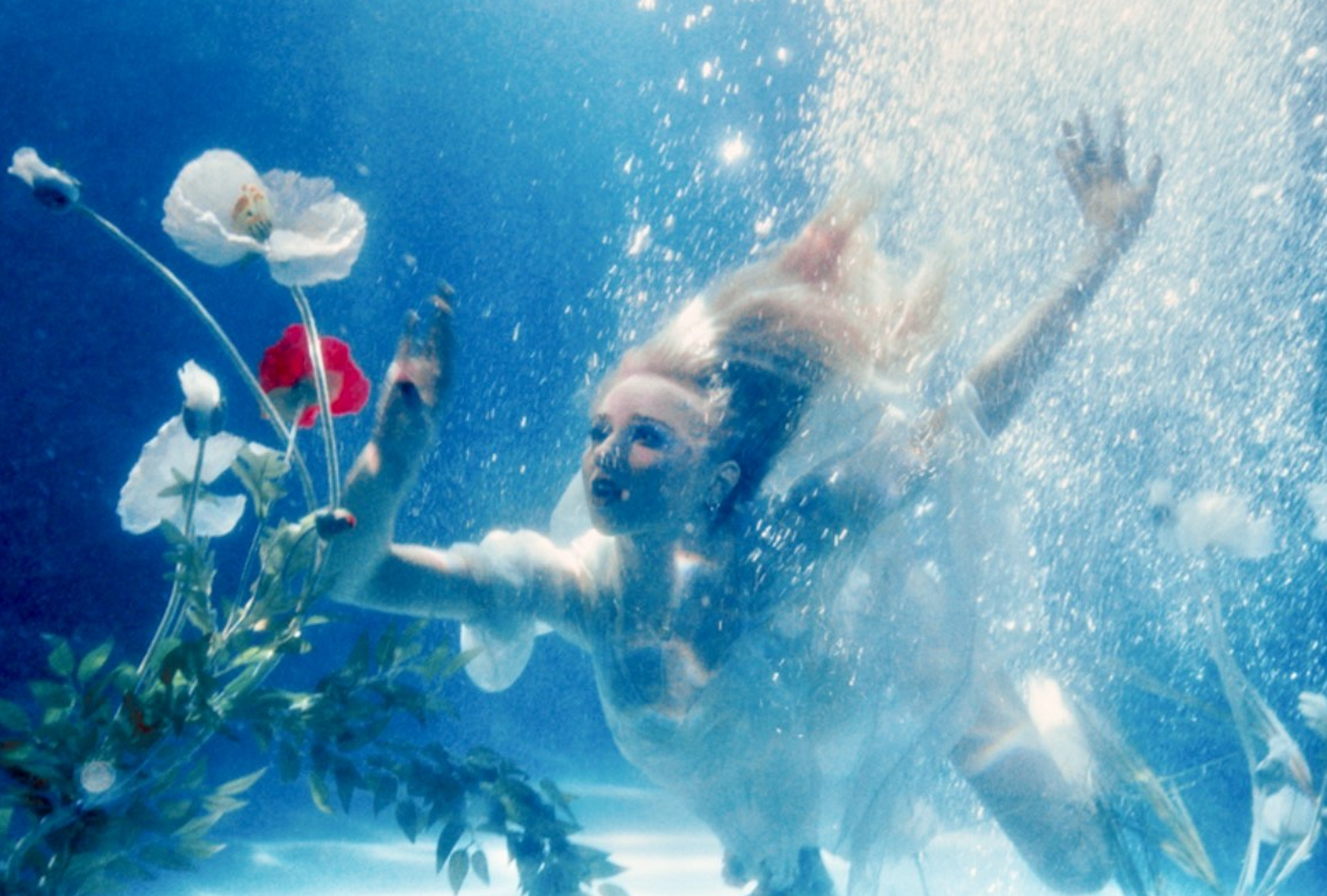 Screenshot 2026-03-12 at 10.54.40 AM.png