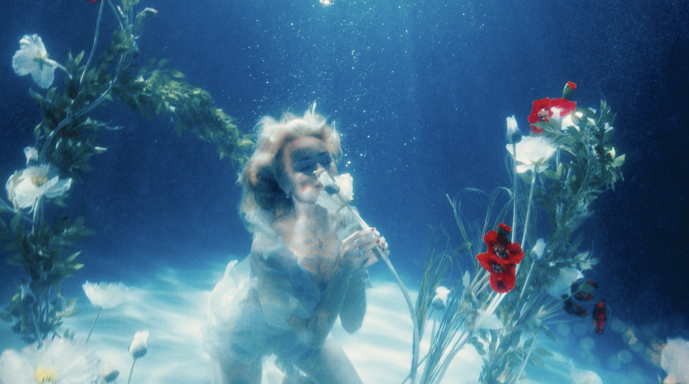 Screenshot 2026-03-12 at 10.54.54 AM.png