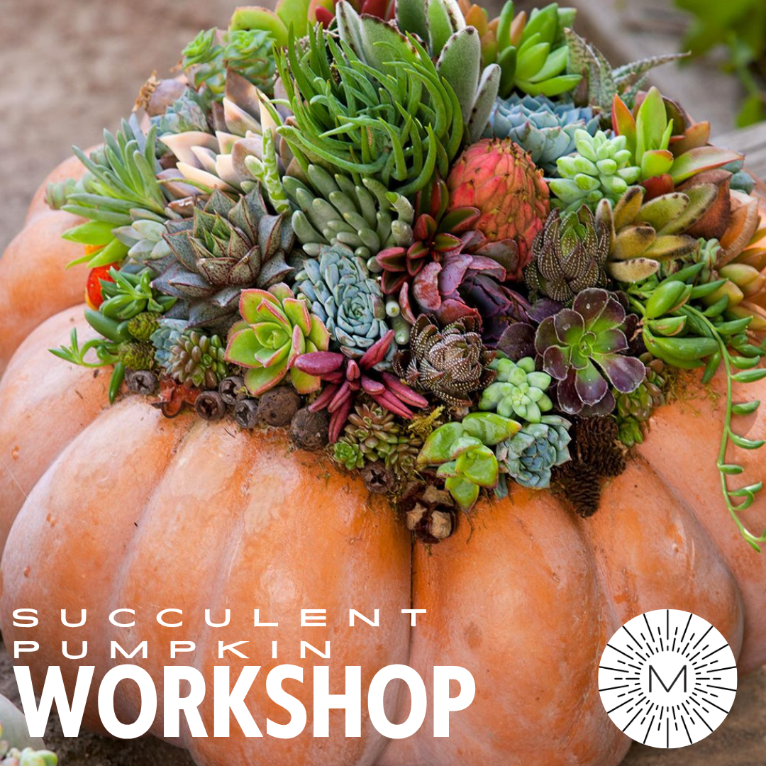 OCT 22 6-830PM PAINT + SIP: MIRAMONTE WINERY TEMECULA