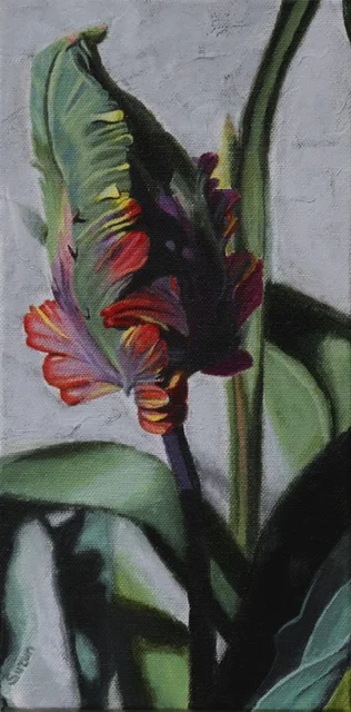 Parrot Tulip 2
