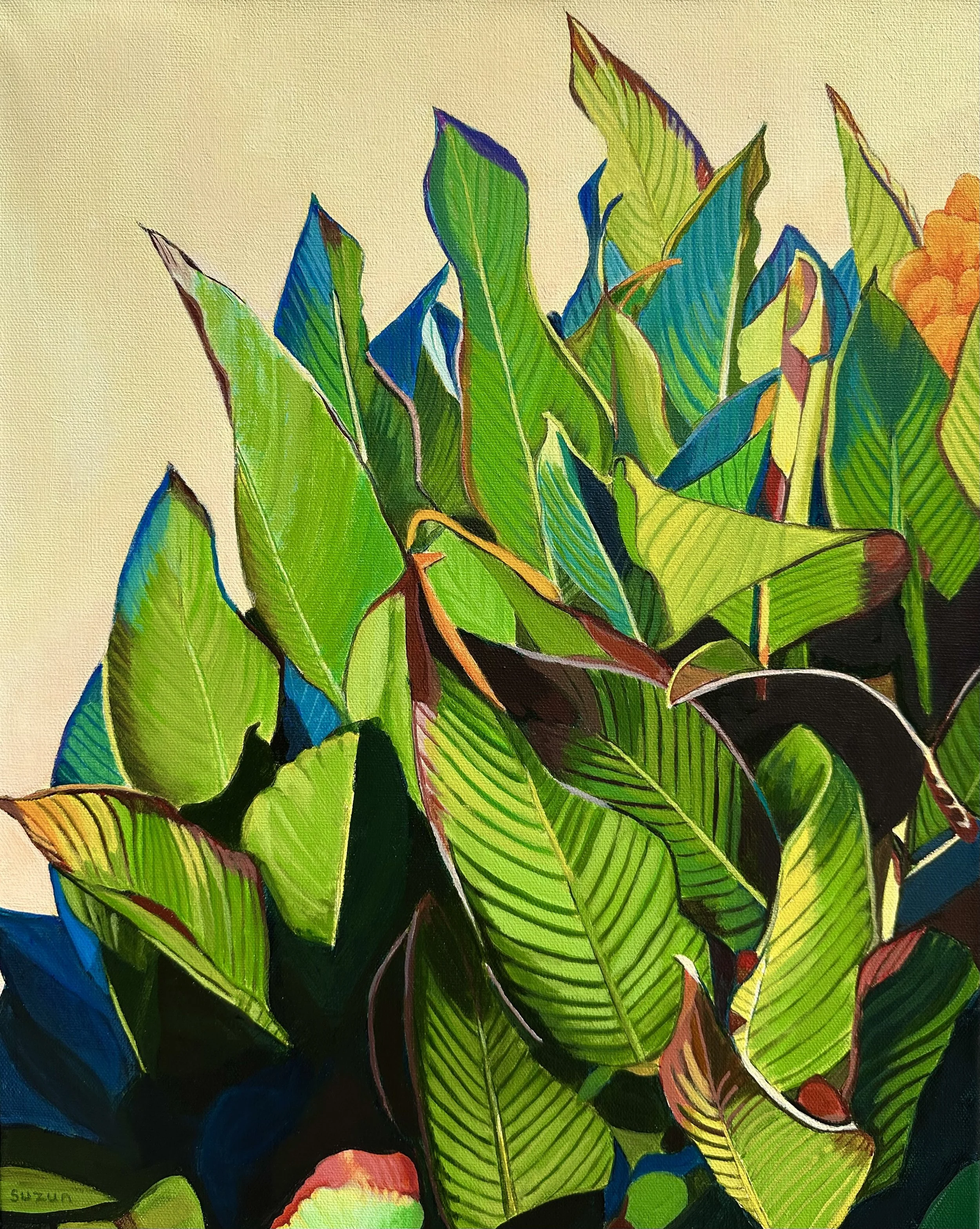 "Cannas"