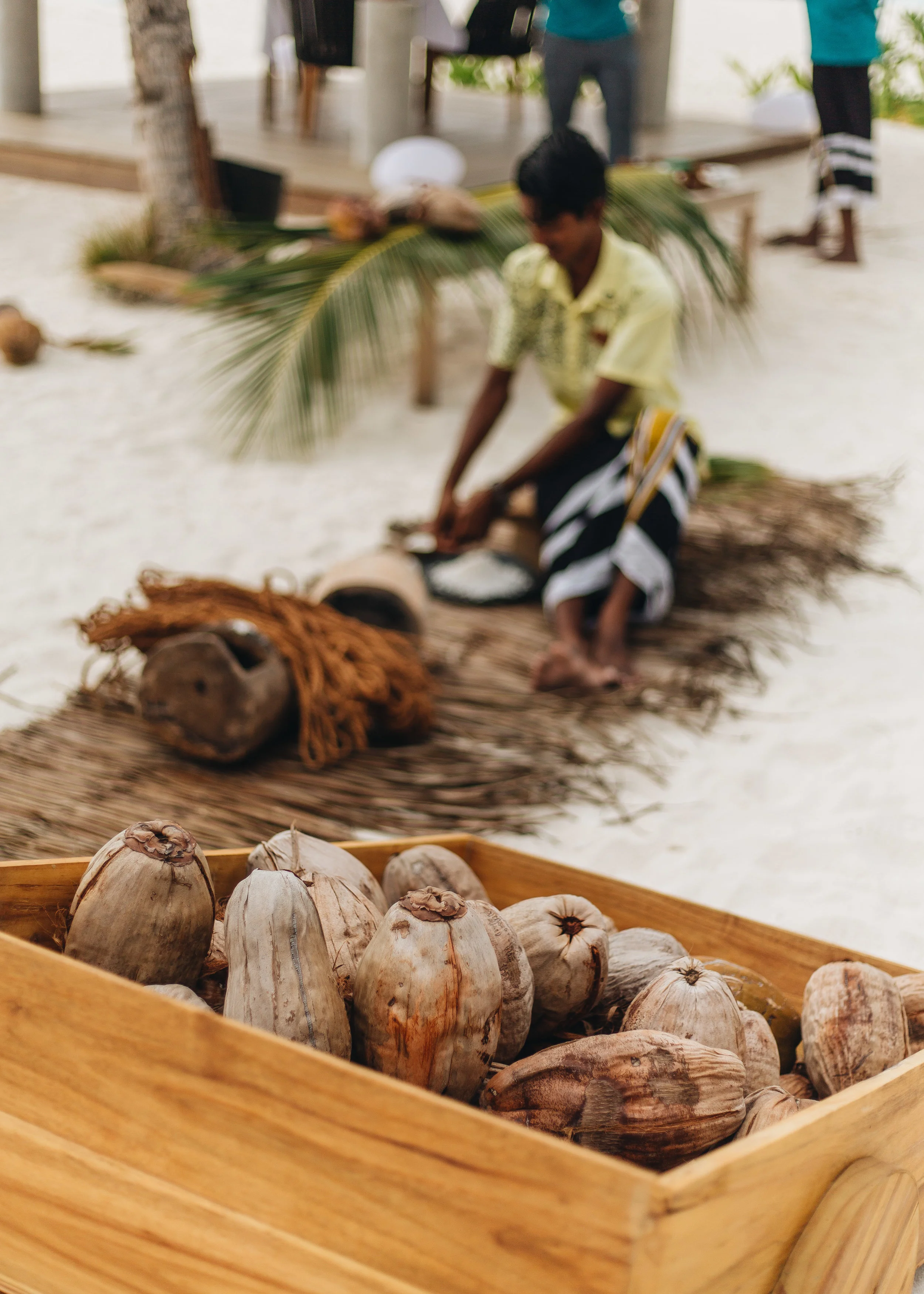 4:30 PM // Go Coconuts! We got to catch a glimpse into the many ways Maldivians use coconuts at the afternoon Go Coconuts show! We learned to climb coconut trees, crack and use coconuts, and the many amazing uses of these giant tropical fruits!