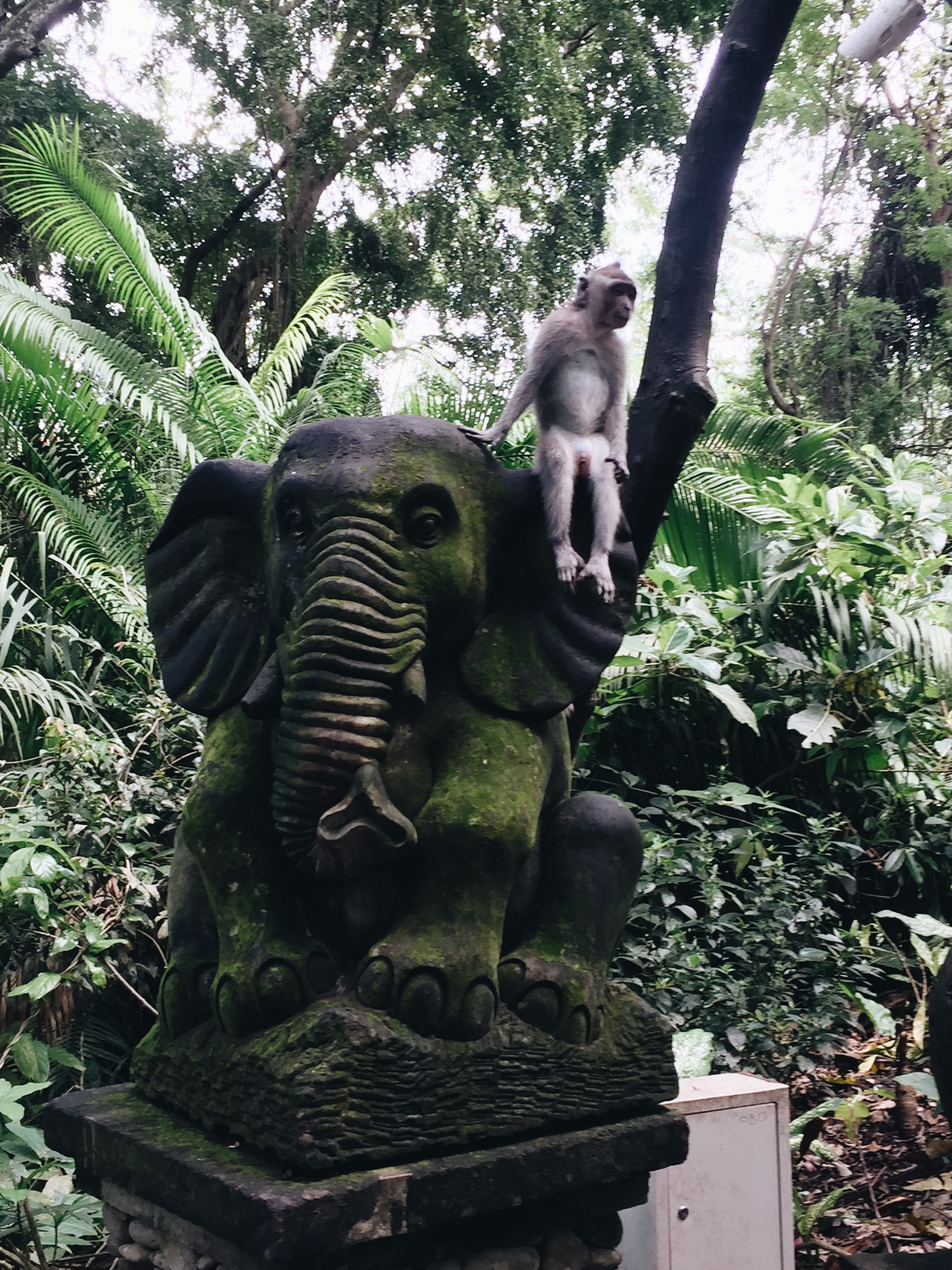 Sacred Monkey Forest