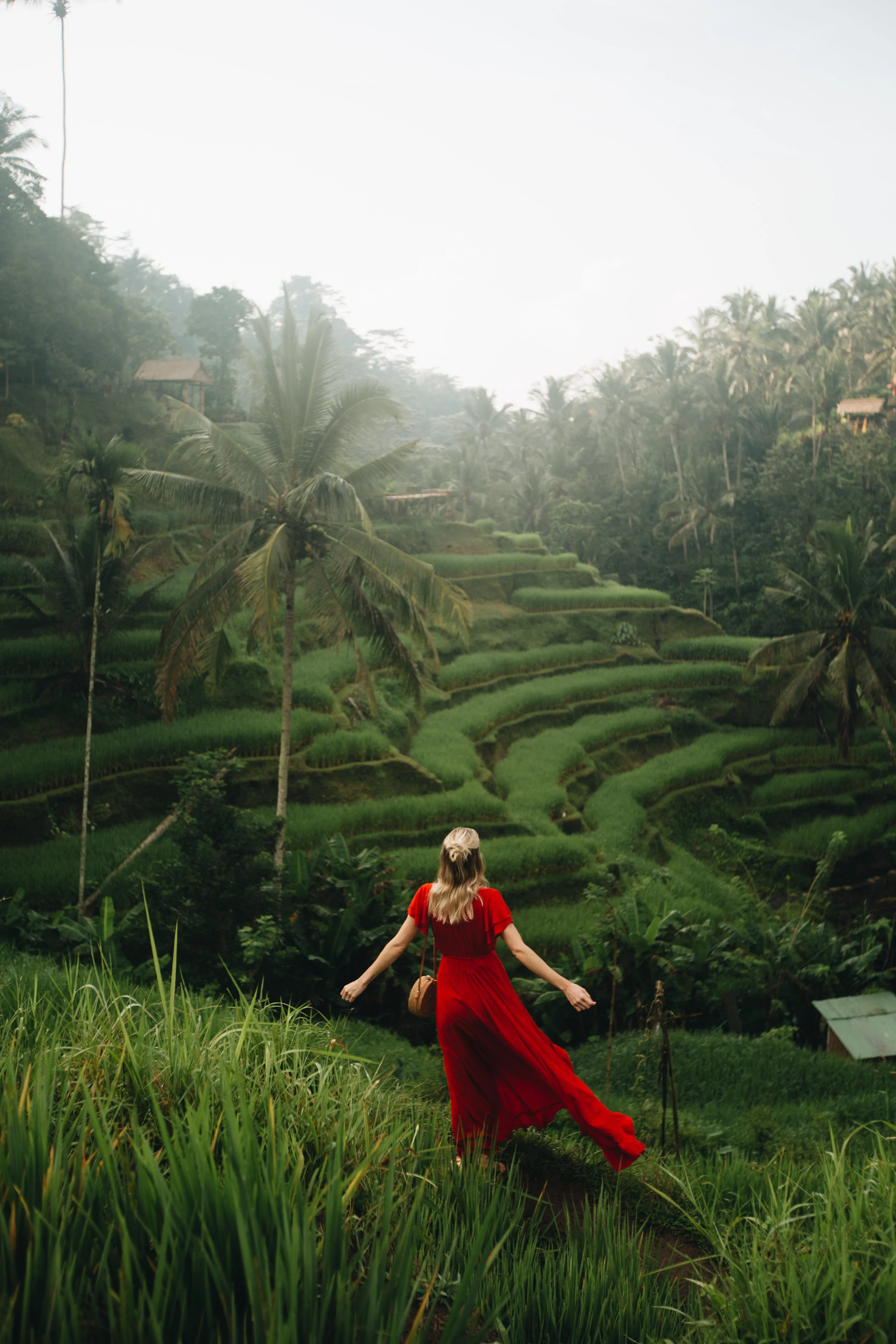 Tegalalang Rice Terraces