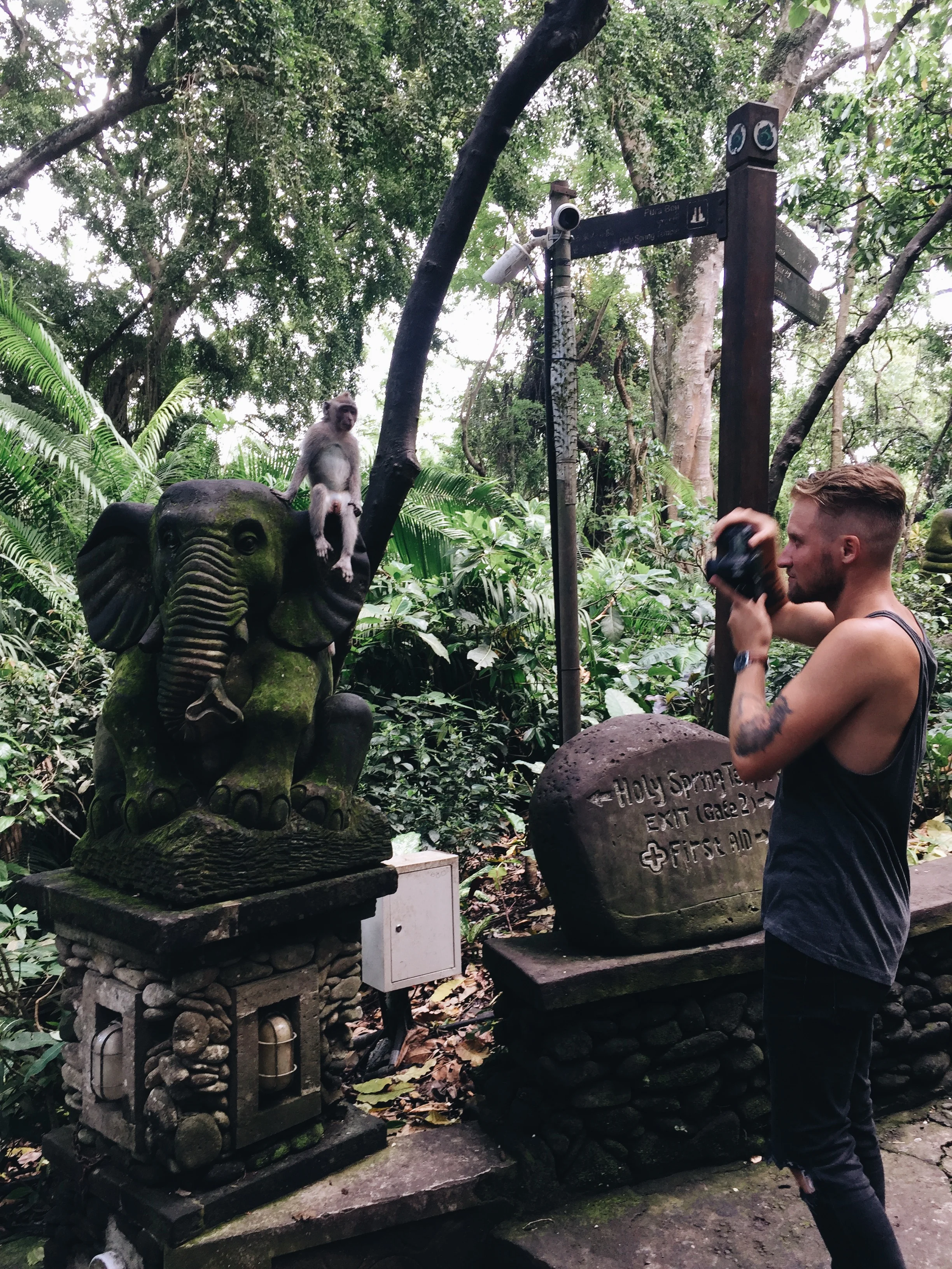 Sacred Monkey Forest