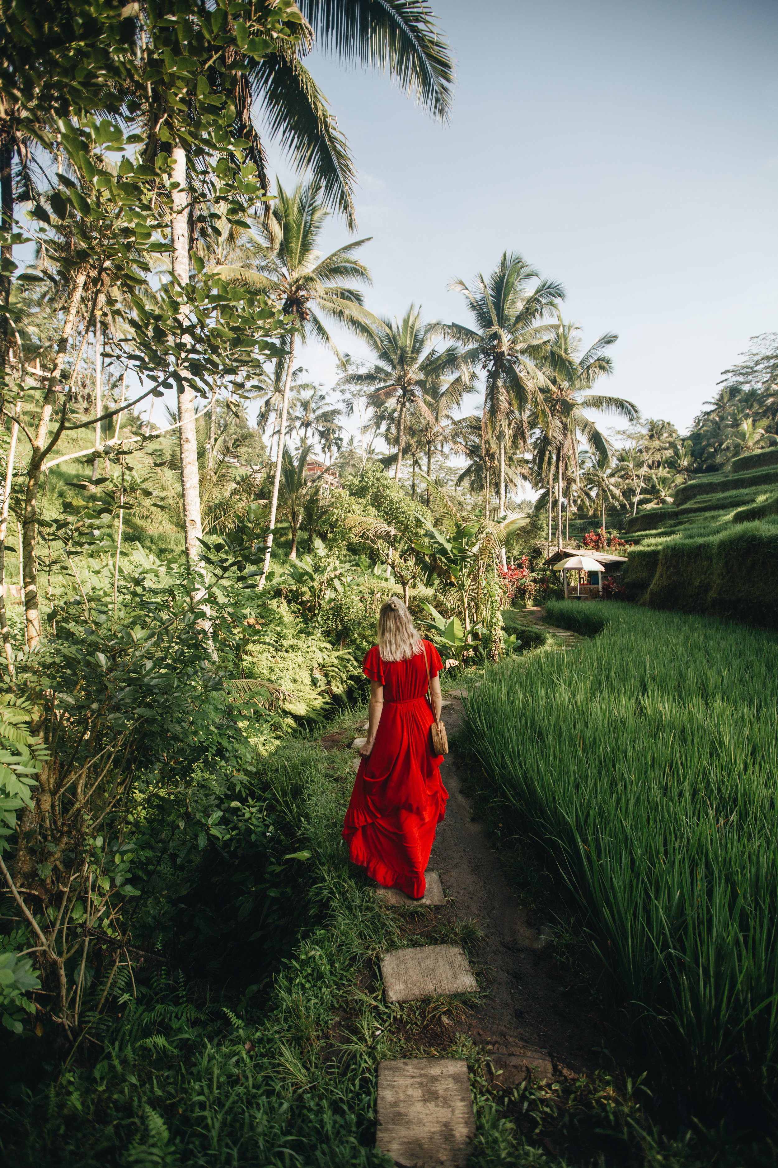 Tegalalang Rice Terraces