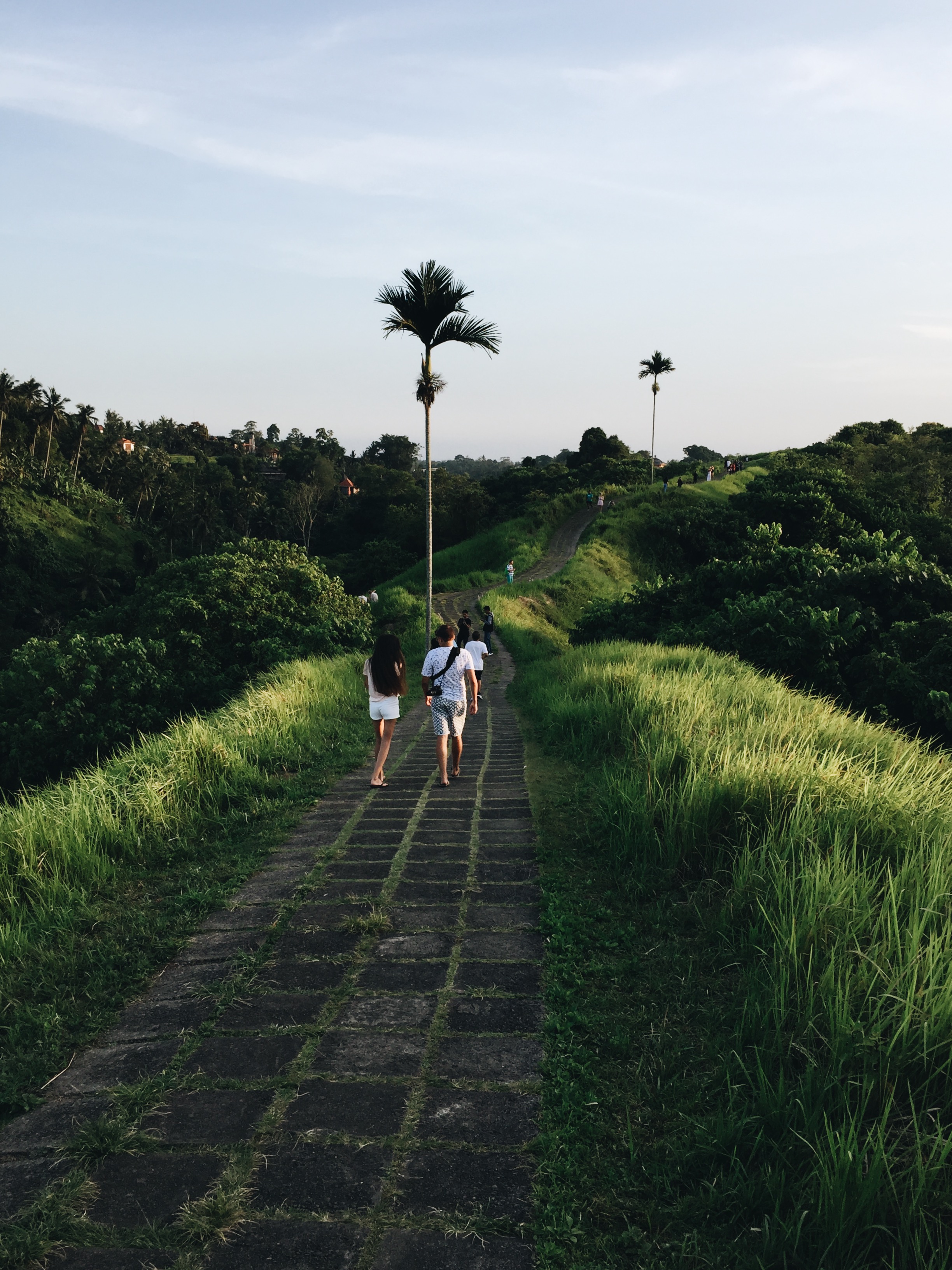 Campuhan Ridge Walk