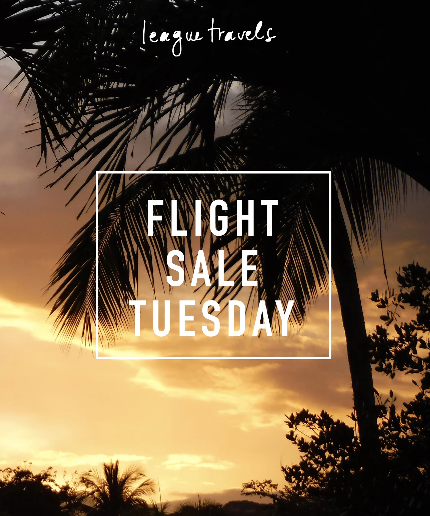 Airline Sale Alert!