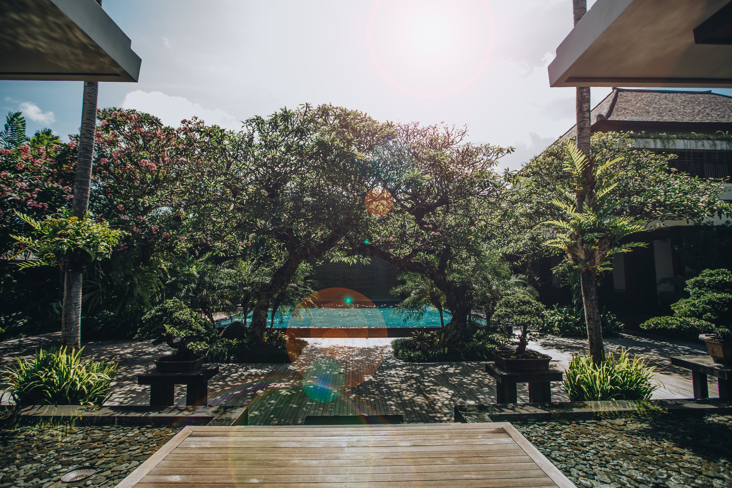 DS7C0452-Edit.jpg