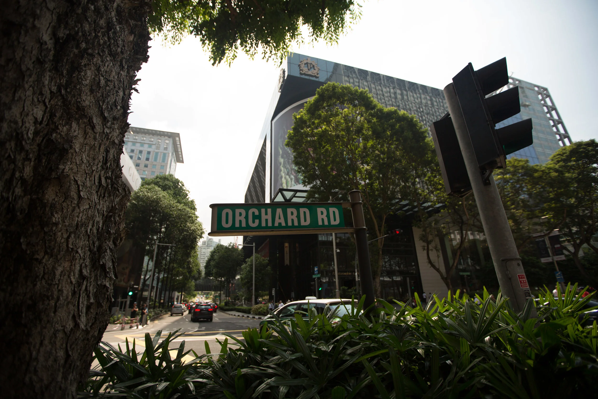LEAGUE CO X GRAND PARK ORCHARD-111.jpg