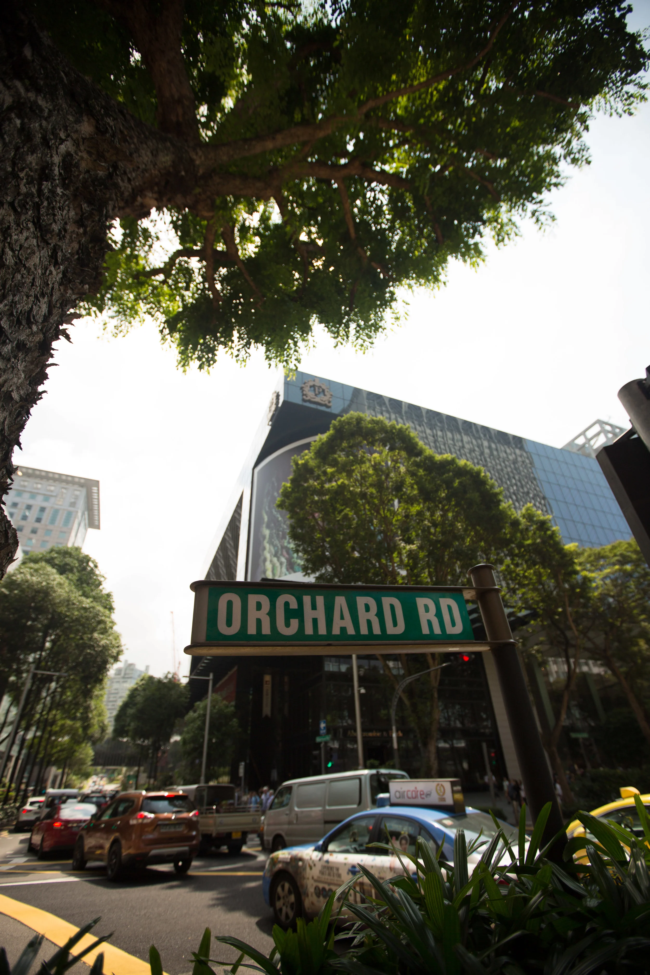 LEAGUE CO X GRAND PARK ORCHARD-112.jpg