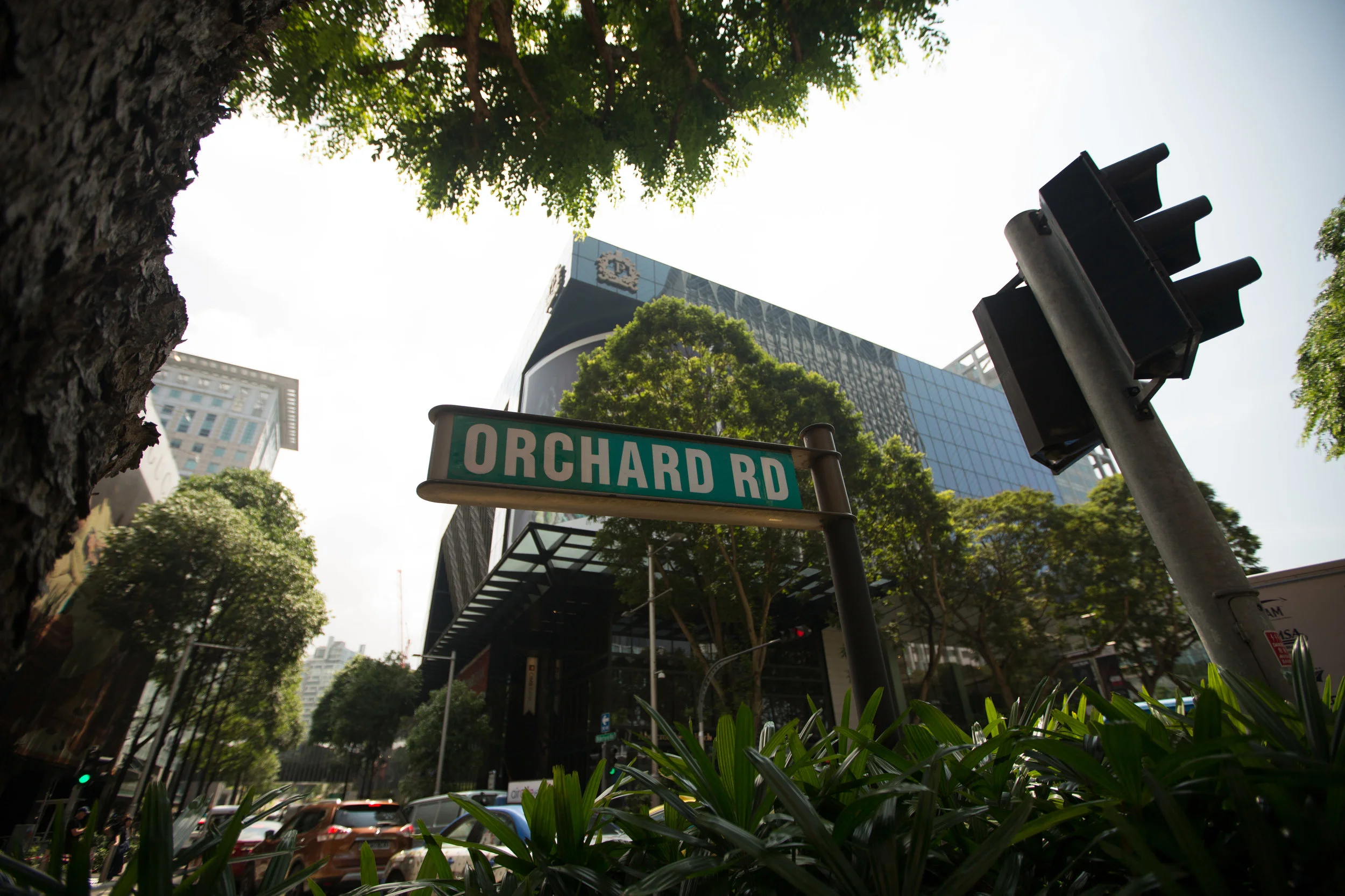 LEAGUE CO X GRAND PARK ORCHARD-113.jpg