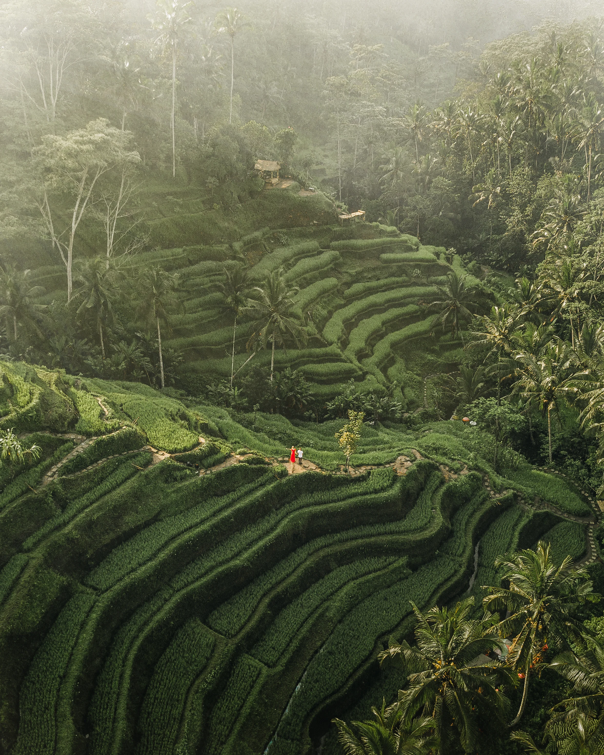 DJI_0017-Edit-2.jpg