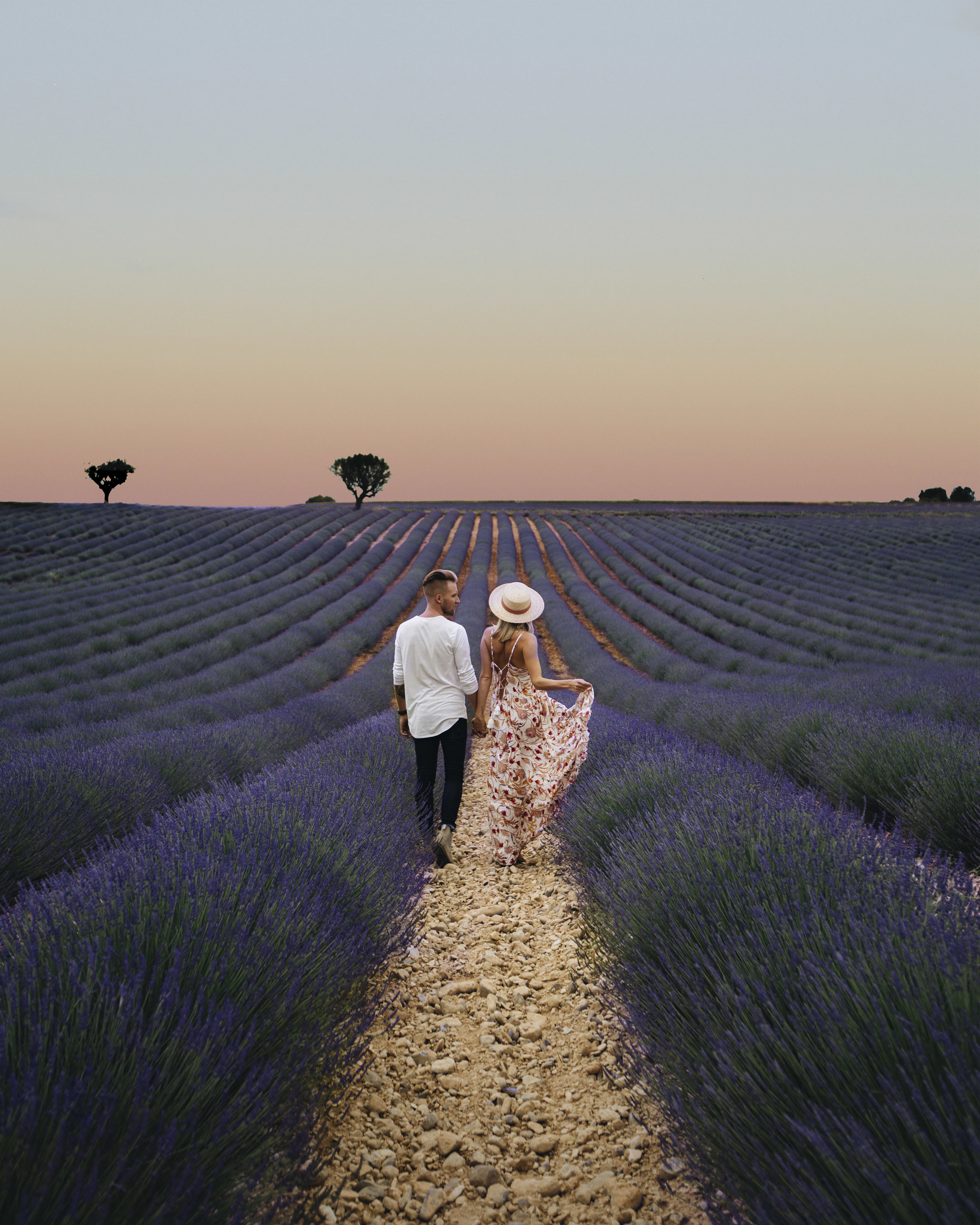 Valensole, France